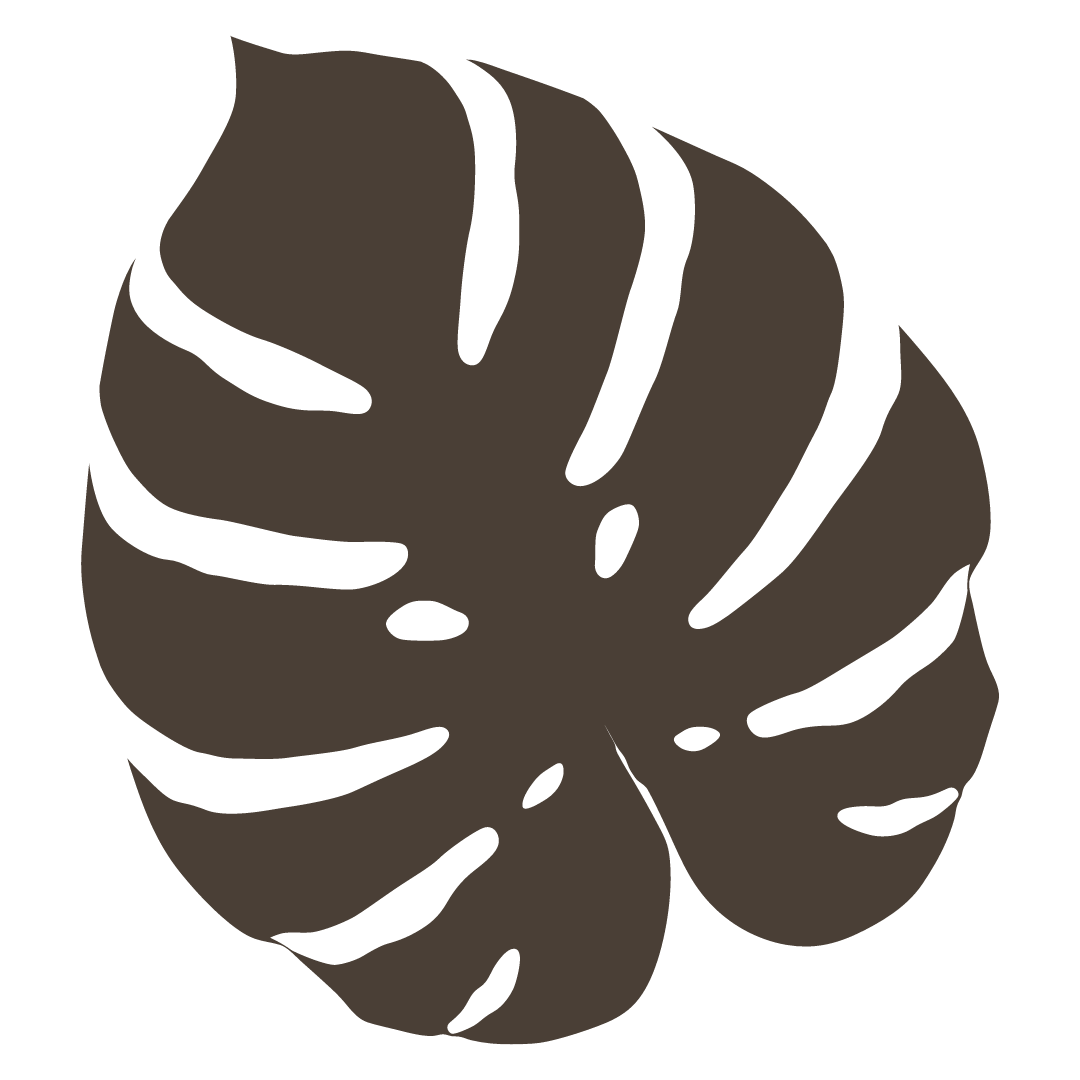 Haircut And Color FAQs Broad Ripple Salon Salon 6 Indianapolis haircut-and-color-faqs-broad-ripple-salon-salon-6-indianapolis