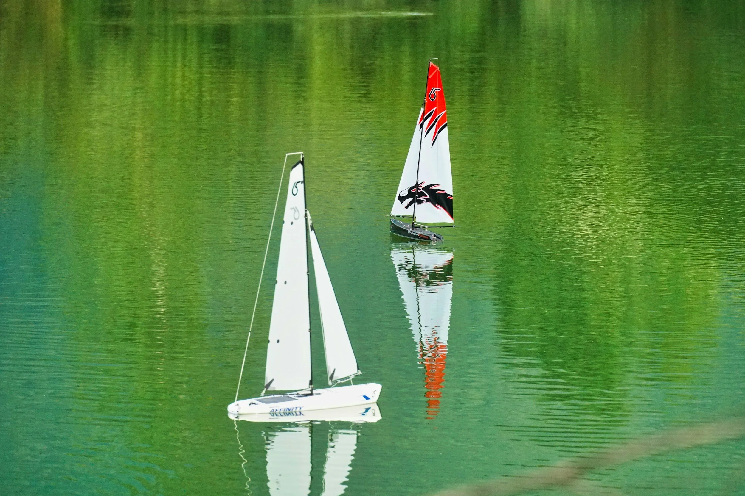 Set Sail: Model Sailboat Regatta