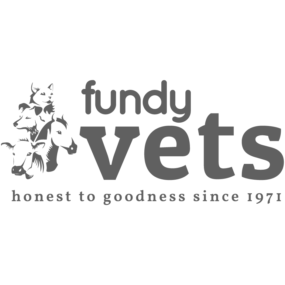 A Covid19 Update from Fundy Vets — Fundy Veterinarians