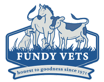 Fundy Veterinarians 