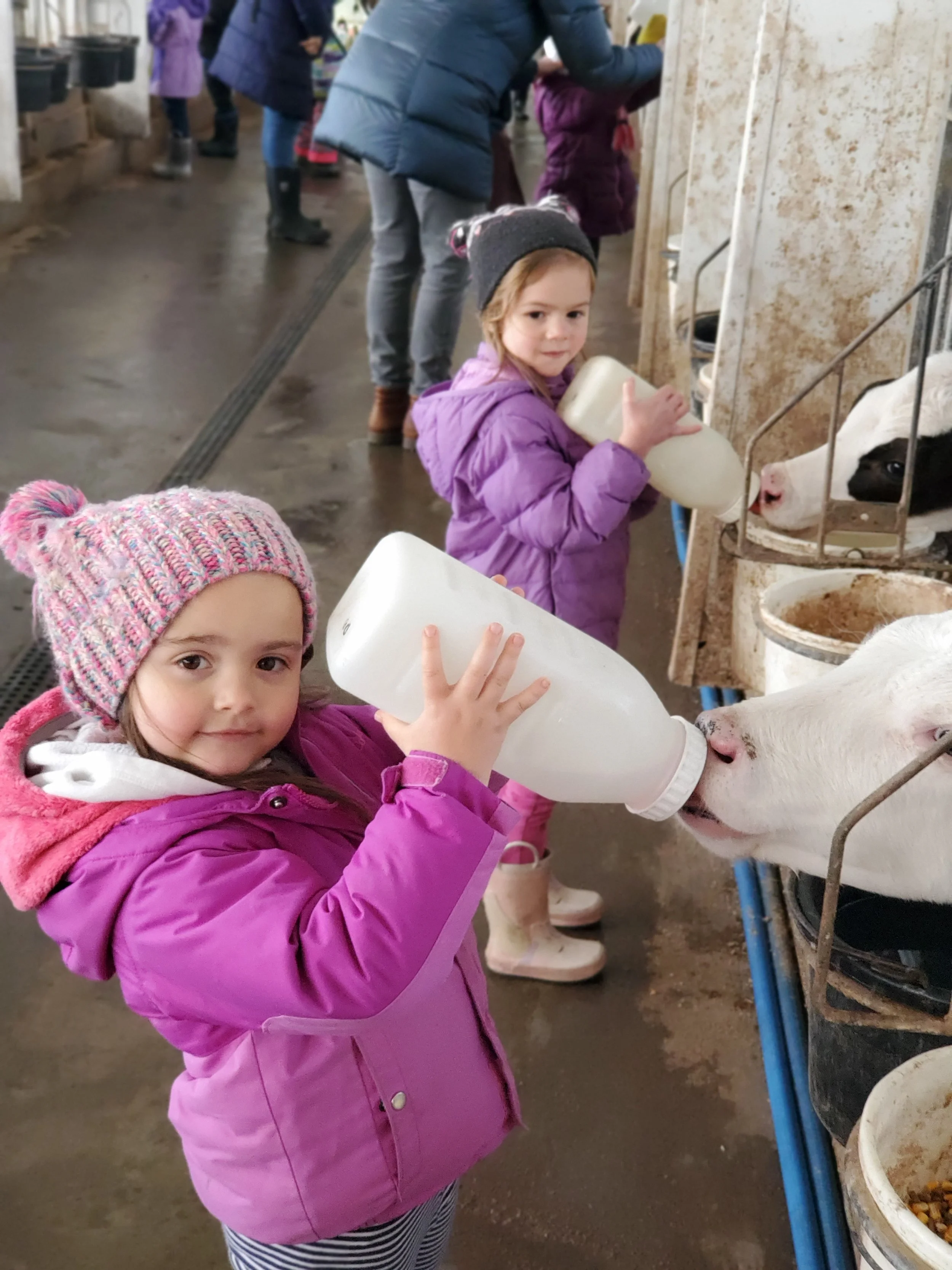 Our Story — Dairy Discovery