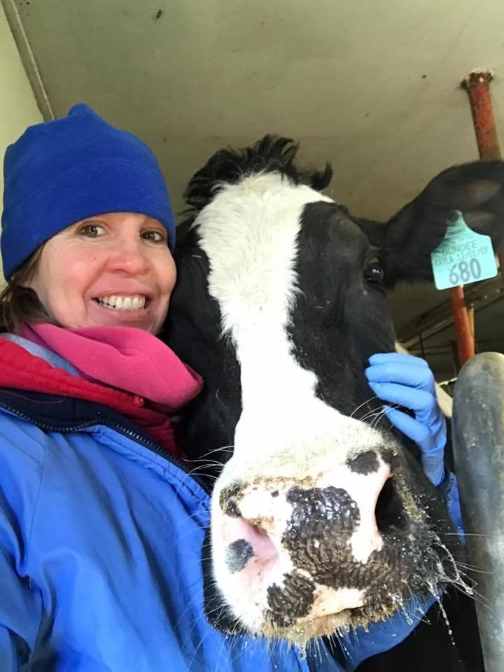 Events — Dairy Discovery