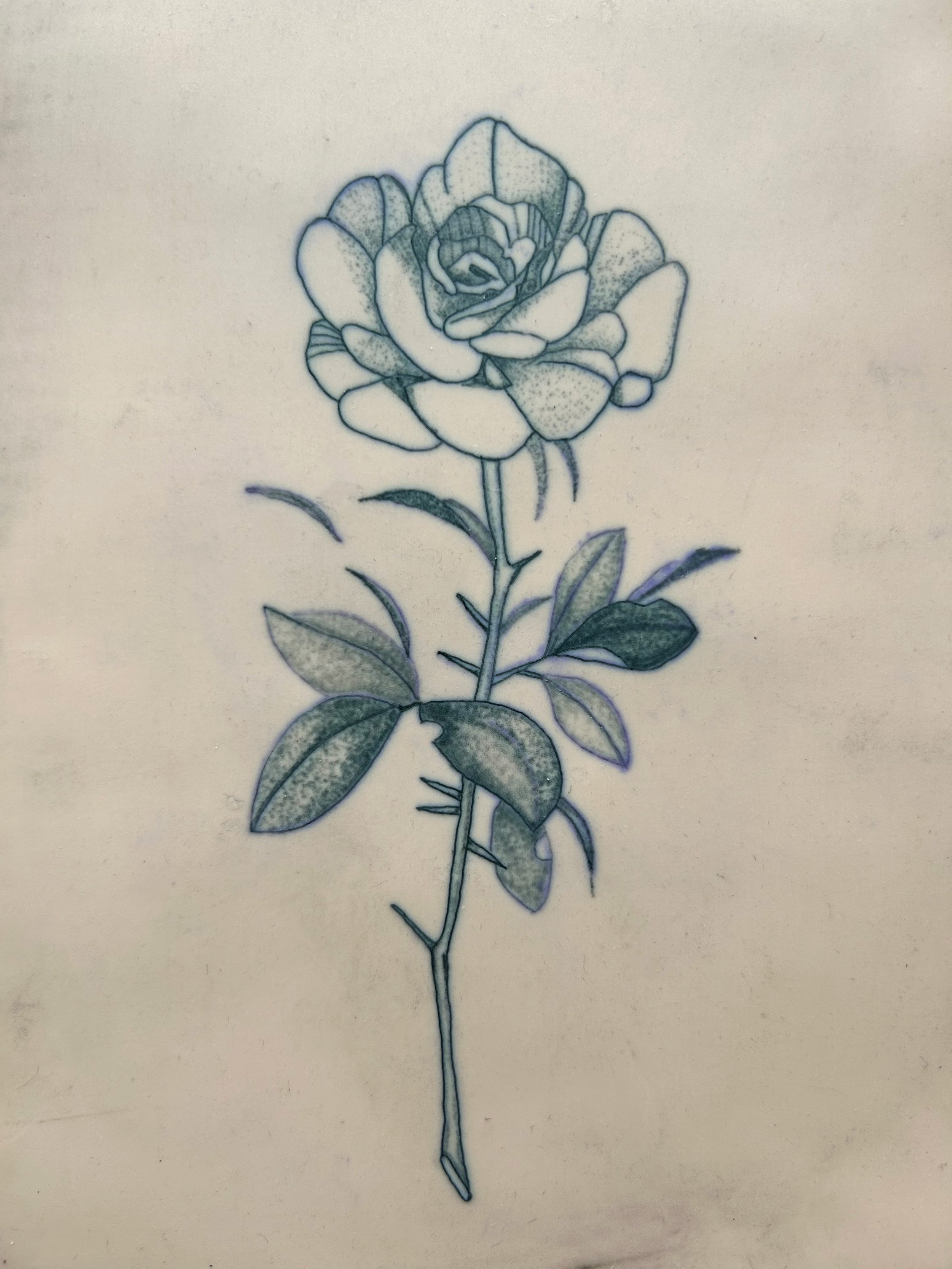 B&W Flower.jpg