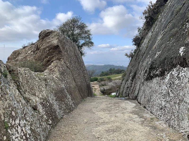 LA GARDE-FREINET (83)