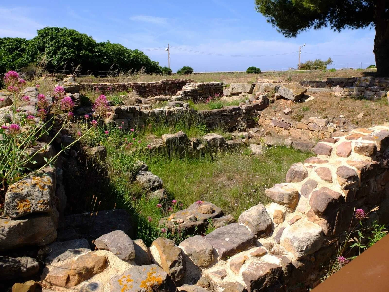 Vendredi 20 février 2026 - Conférence : Le site archéologique d’Olbia, une ville grecque dans le Var