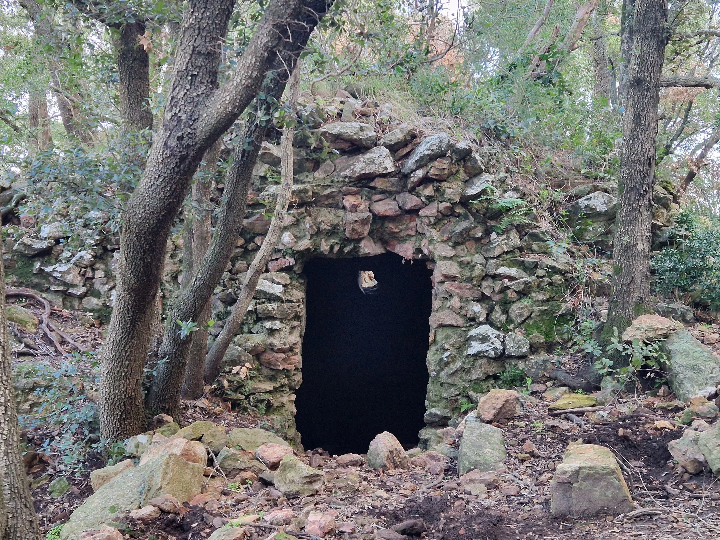 La sortie à Mandelieu-la-Napoule, parc de l’Estérel le 1er février 2026