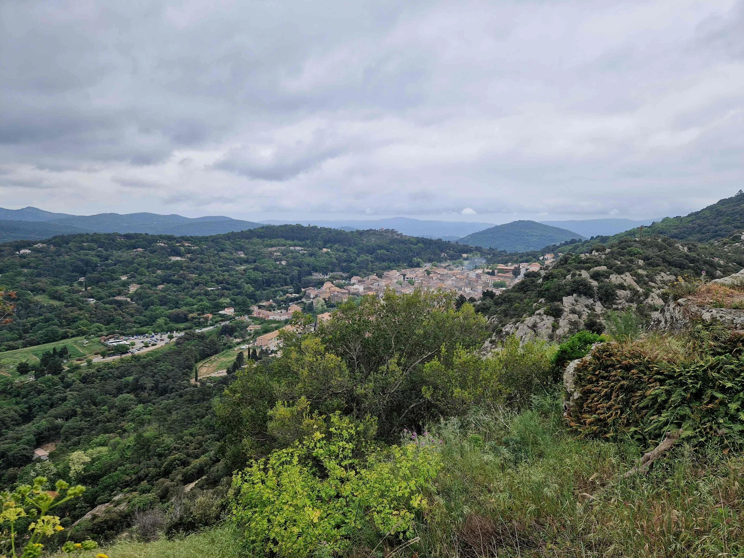 Dimanche 26 avril 2026 - Compte-rendu de la sortie à La Garde-Freinet