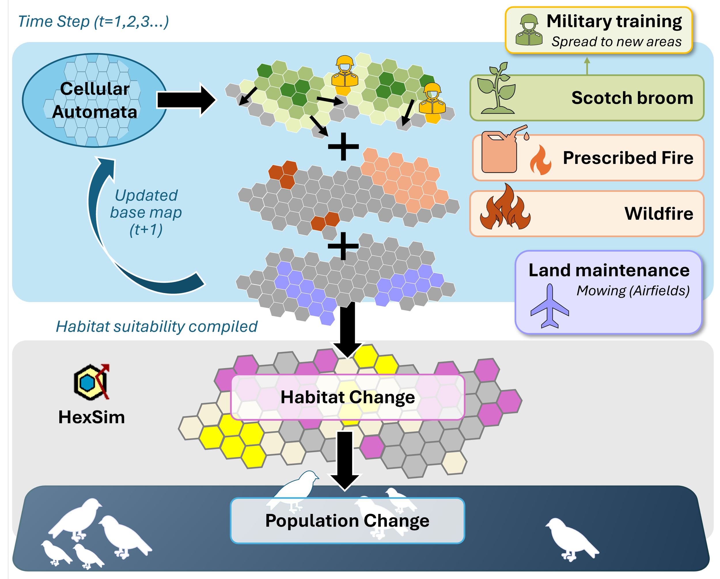 Process diagram showing CA model - HexSim integration, habitat impacts and Streaked Horned Lark population change