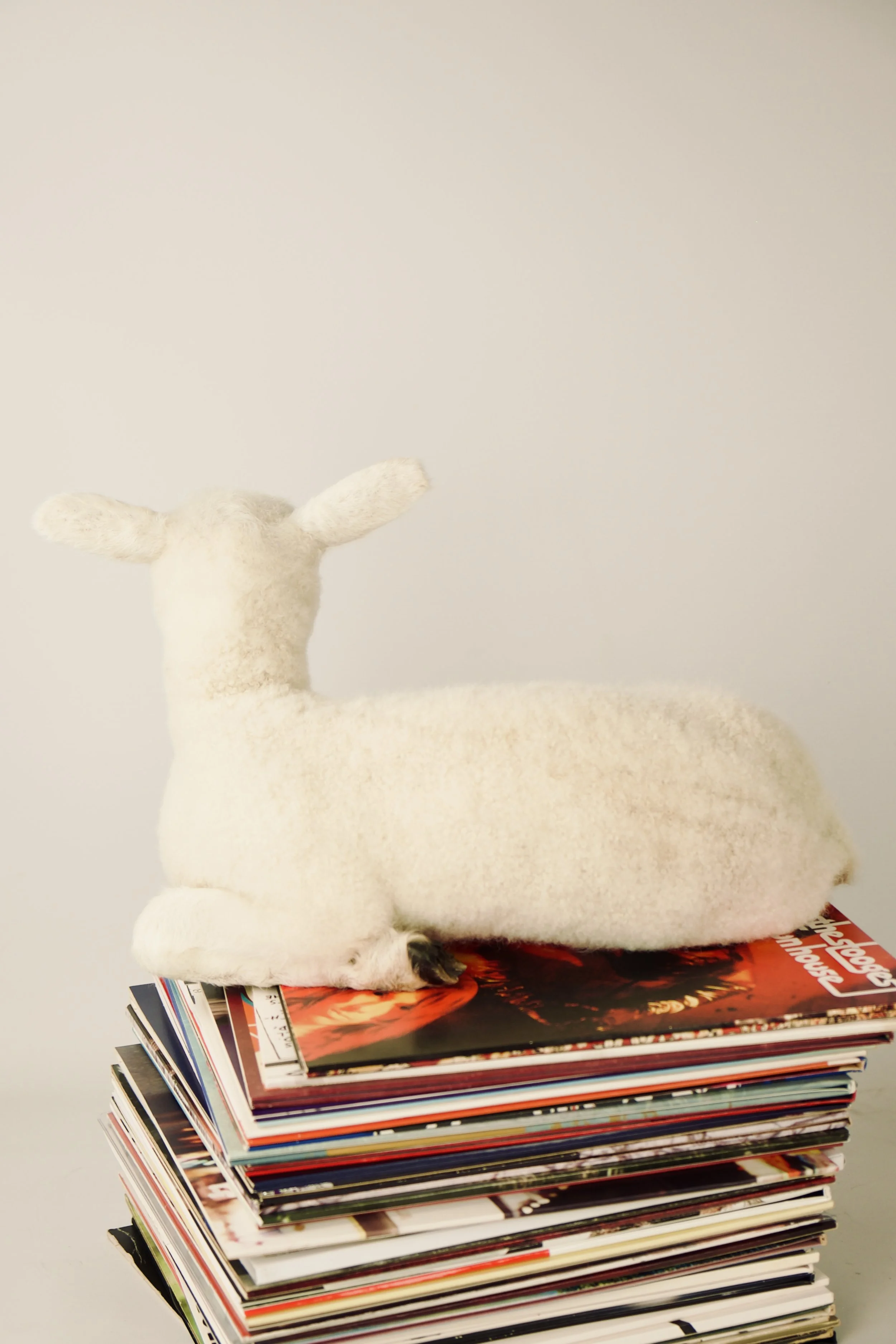 Unique taxidermy lamb - handmade by Katja Guilini