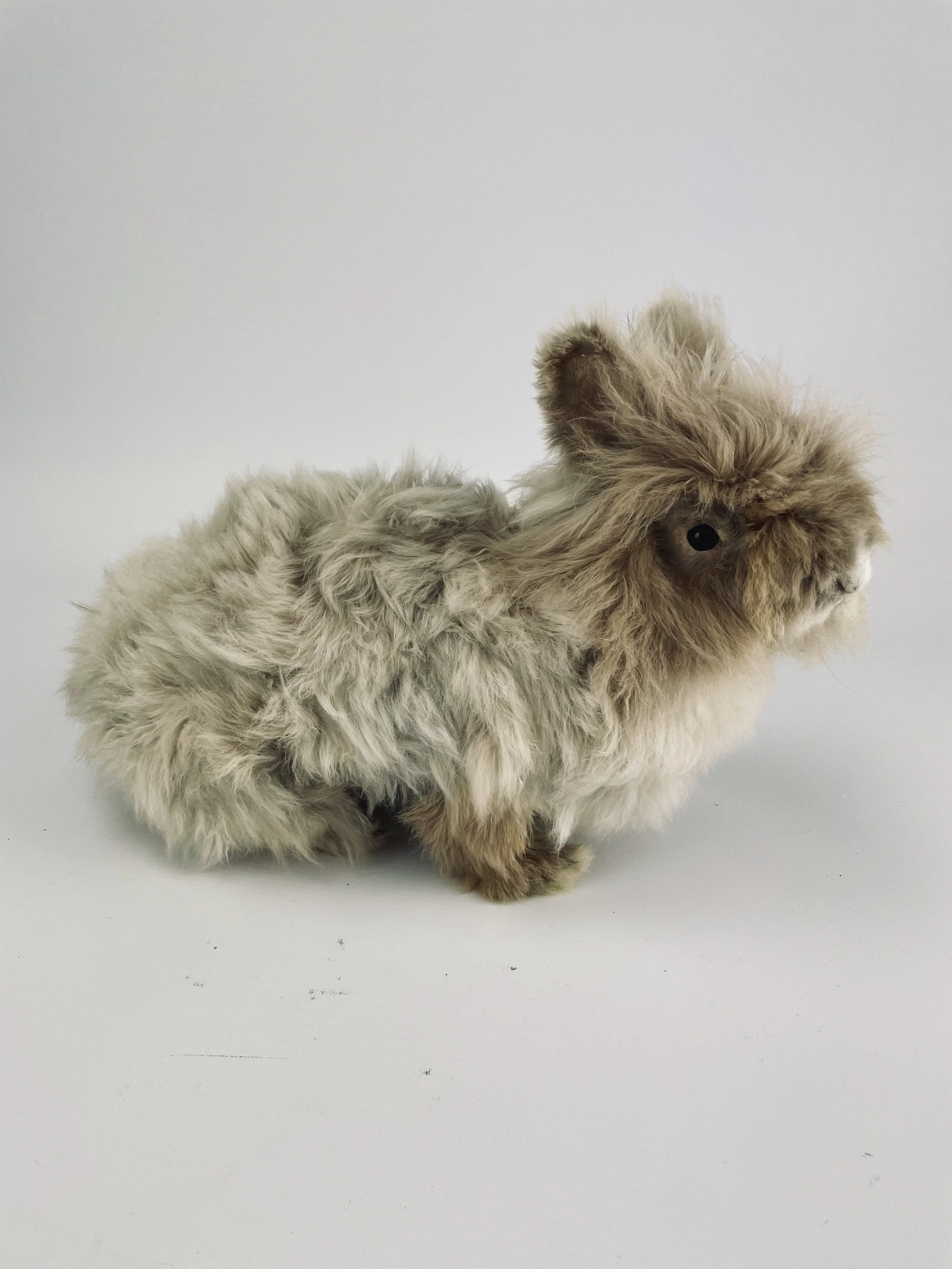 Quality taxidermy of pet rabbit - unique stuffed animals by Katja Guilini - Belgium