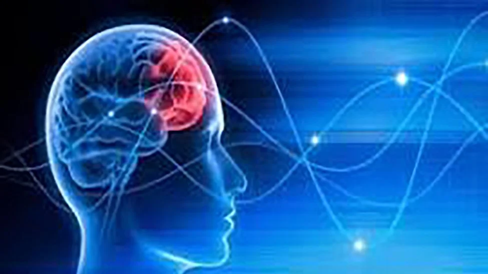 The Secret of Creation: Interacting with a “Thought Responsive Universe”  