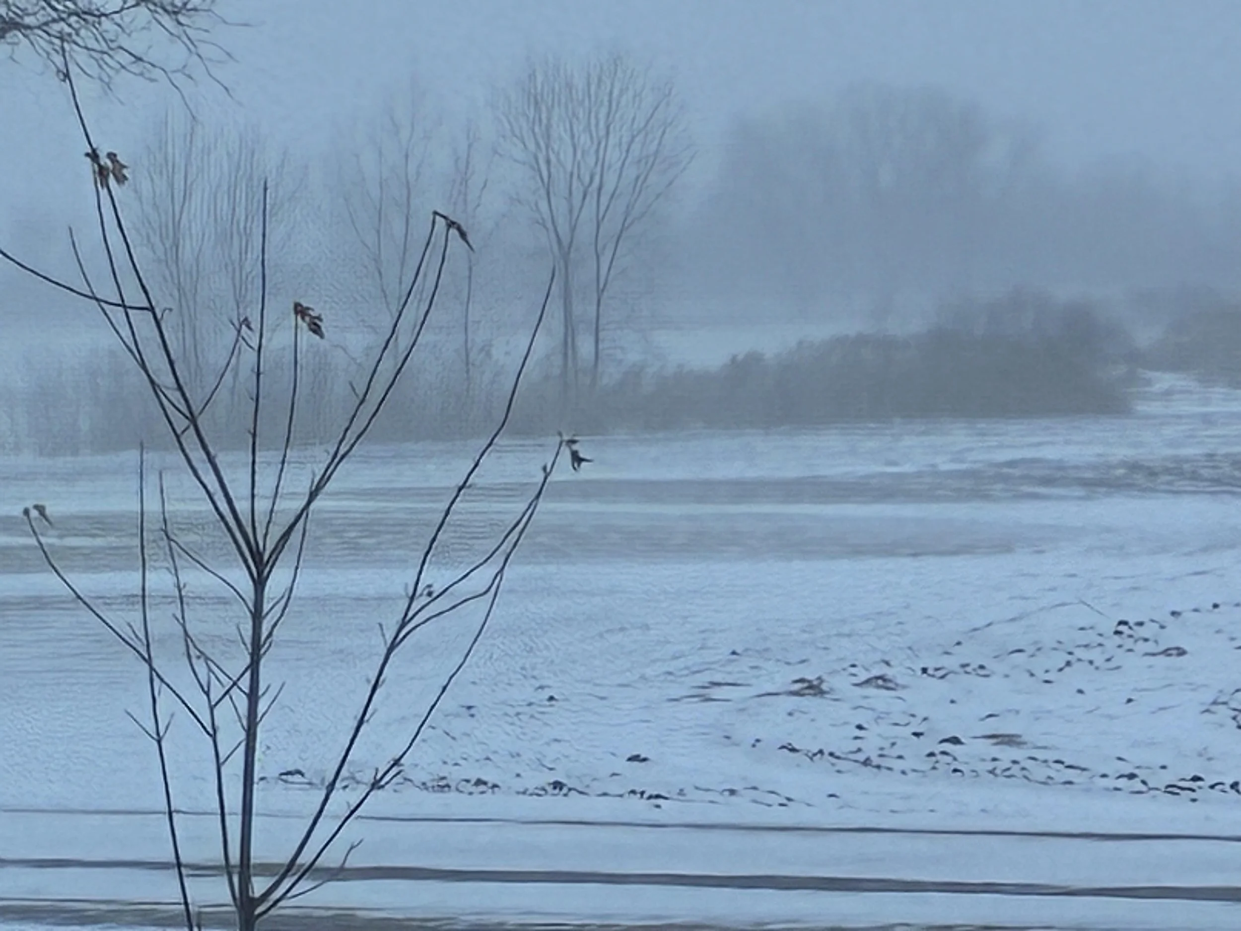 Fortunately, I’m a Contradiction 