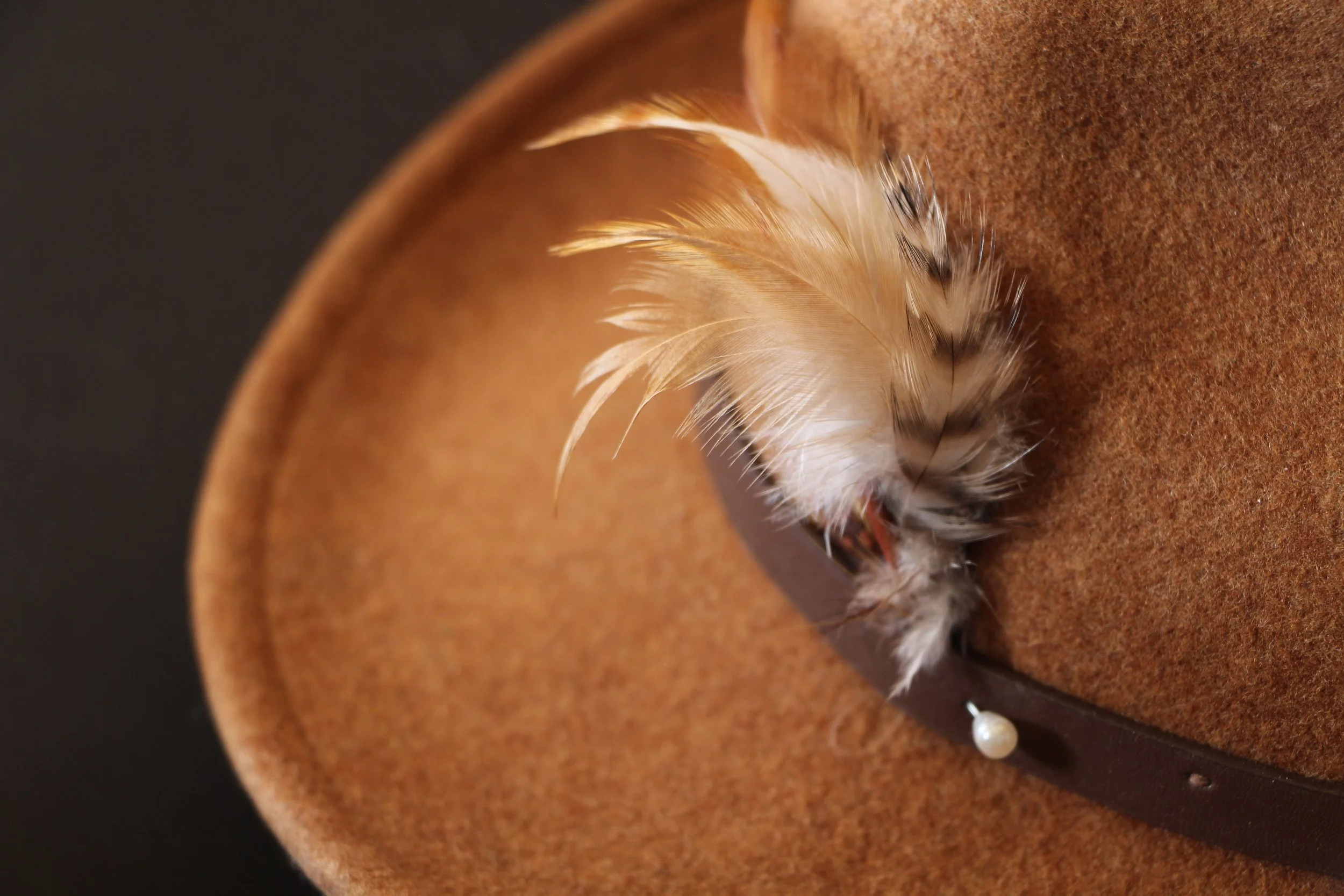 Feathered accessory with white and black striped feathers, attached to a brown strap with a pearl embellishment, placed on a brown felt hat.
