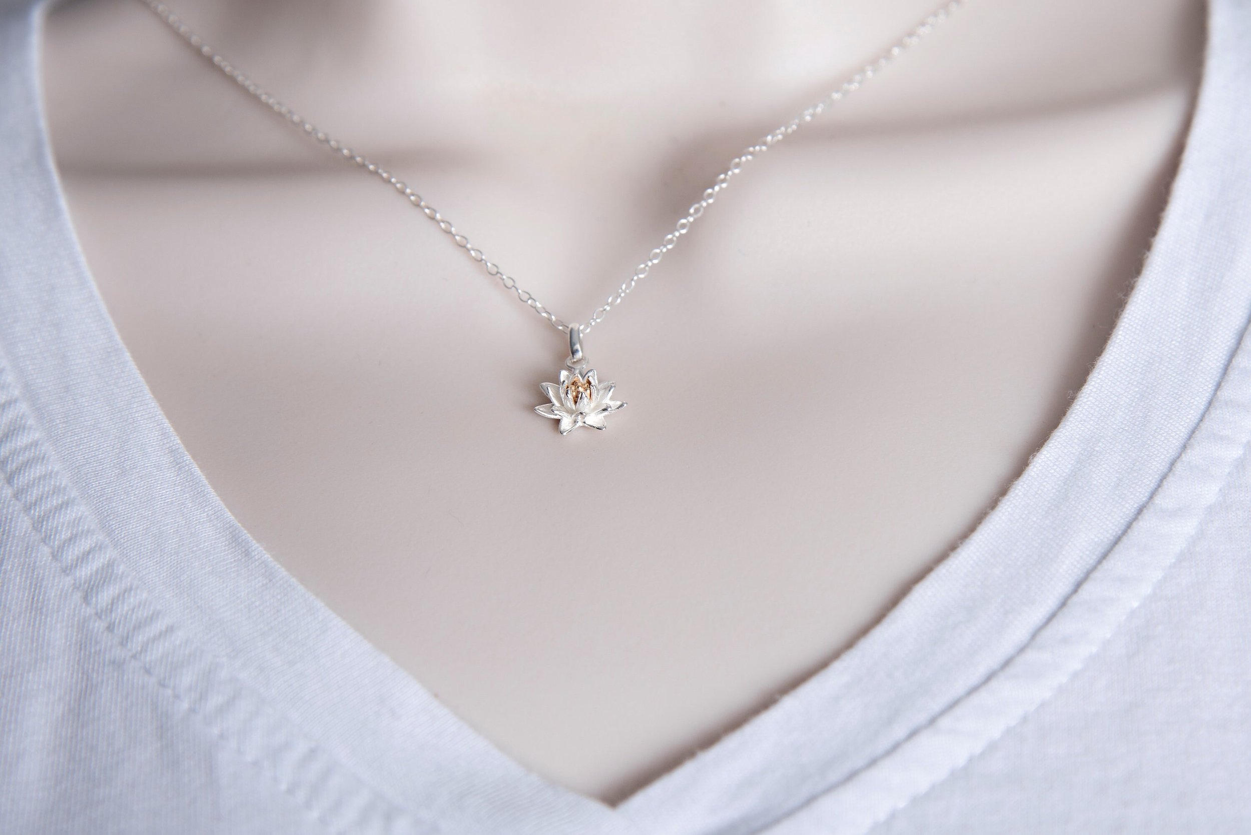 https://i.etsystatic.com/8675532/r/il/26957b/2713335460/il_fullxfull.2713335460_eckr.jpg