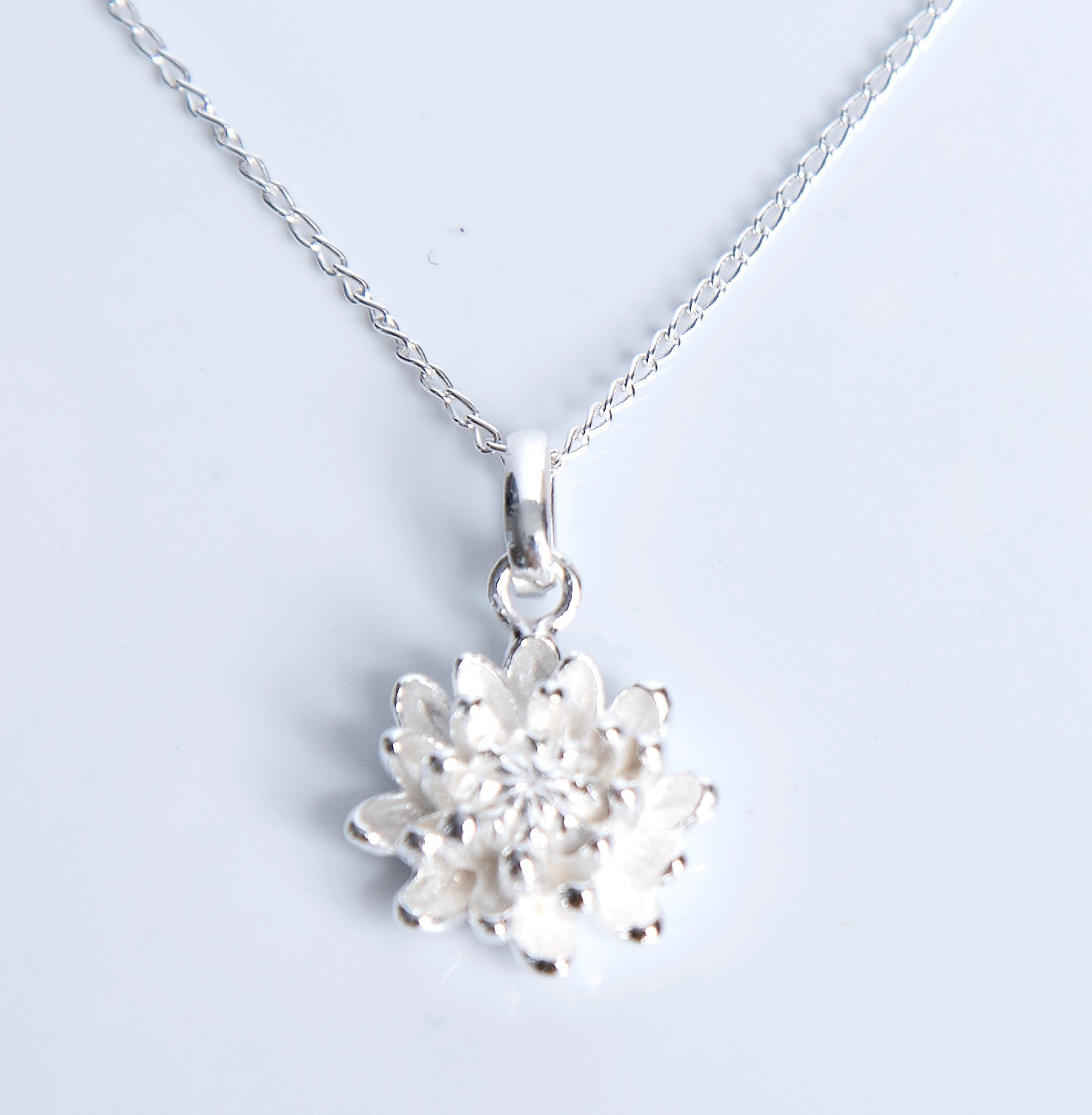 https://i.etsystatic.com/8675532/r/il/bd6aa4/2892334121/il_fullxfull.2892334121_j04s.jpg