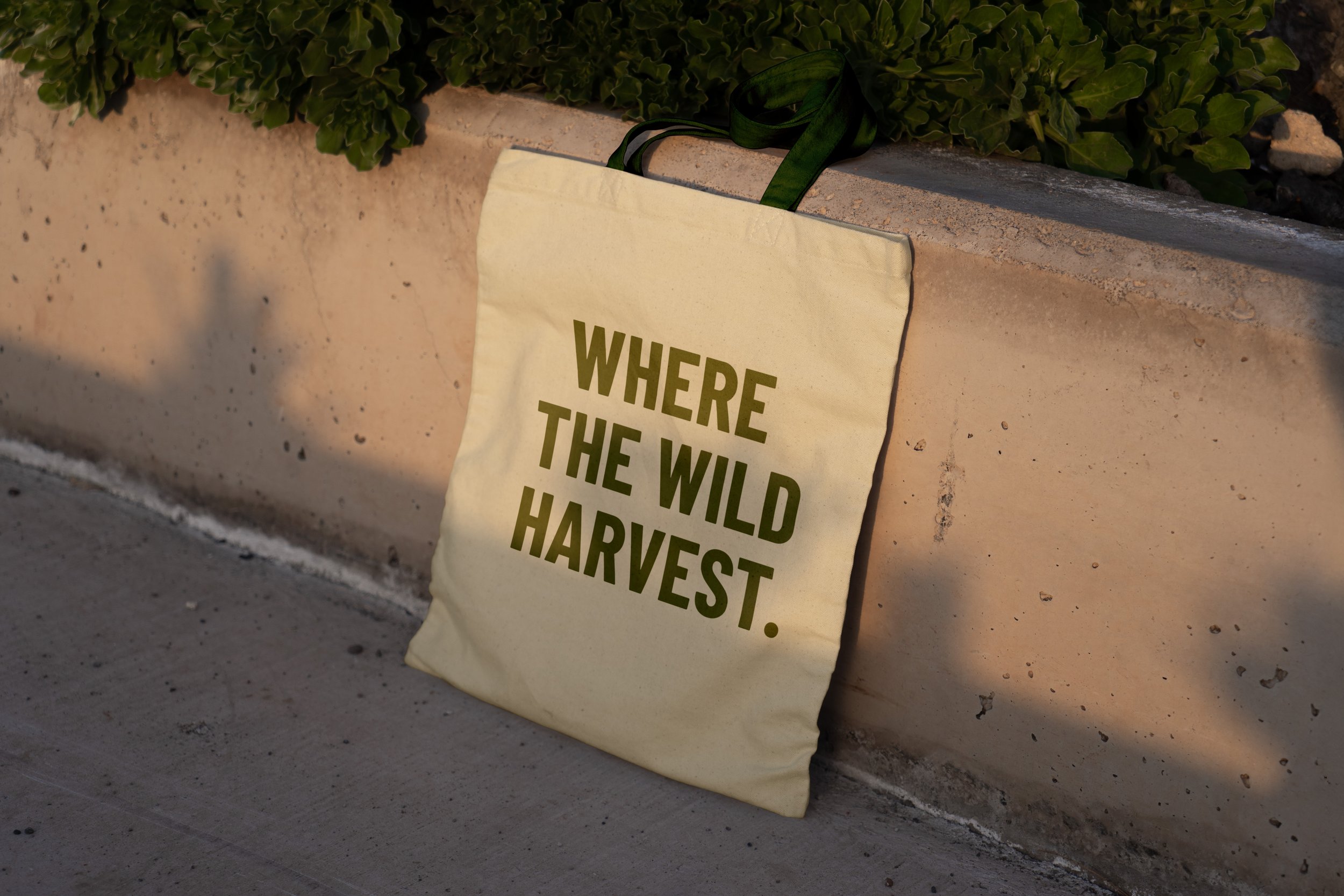 Free-Tote-Bag-Based-on-Wall-Mockup.jpg