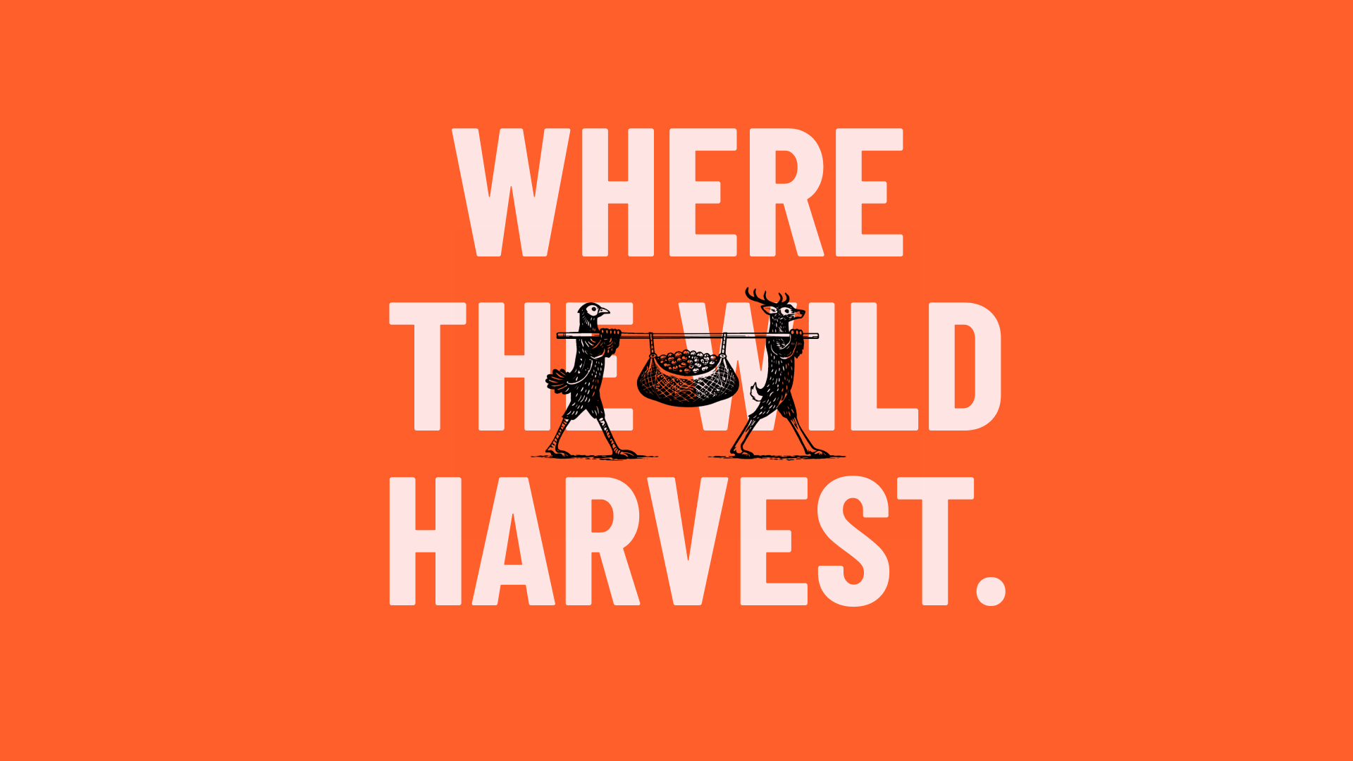 huntersvalley-4.png