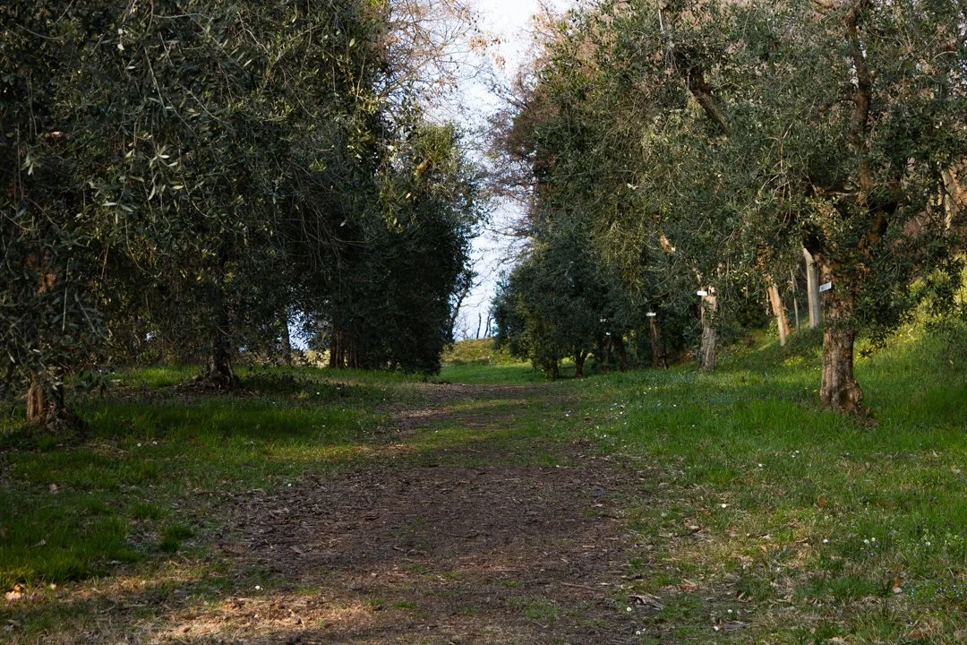 Rocca di Manerba - 2023