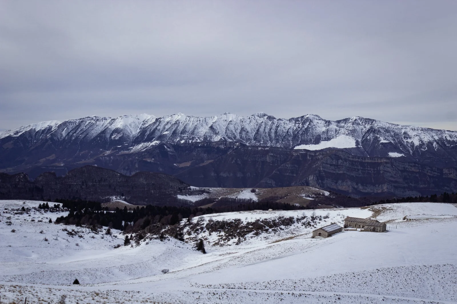 Malga Lessinia - 2024