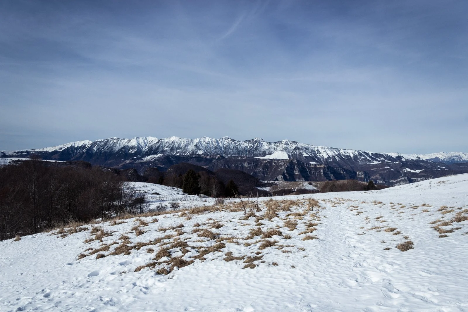Malga Lessinia - 2024