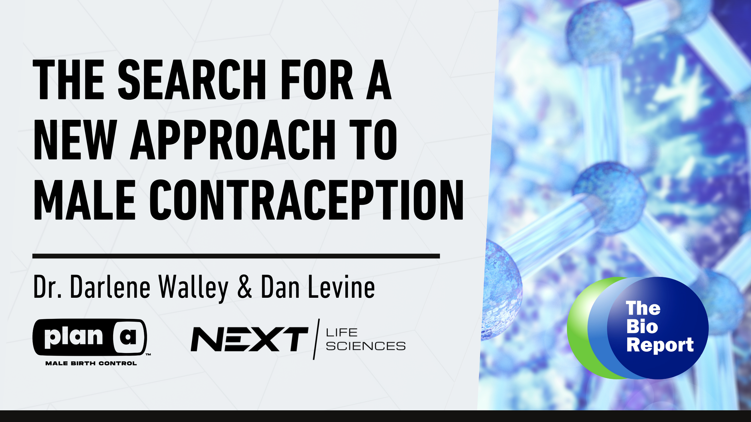 THE BIO REPORT | The Search for a New Approach to Male Contraception