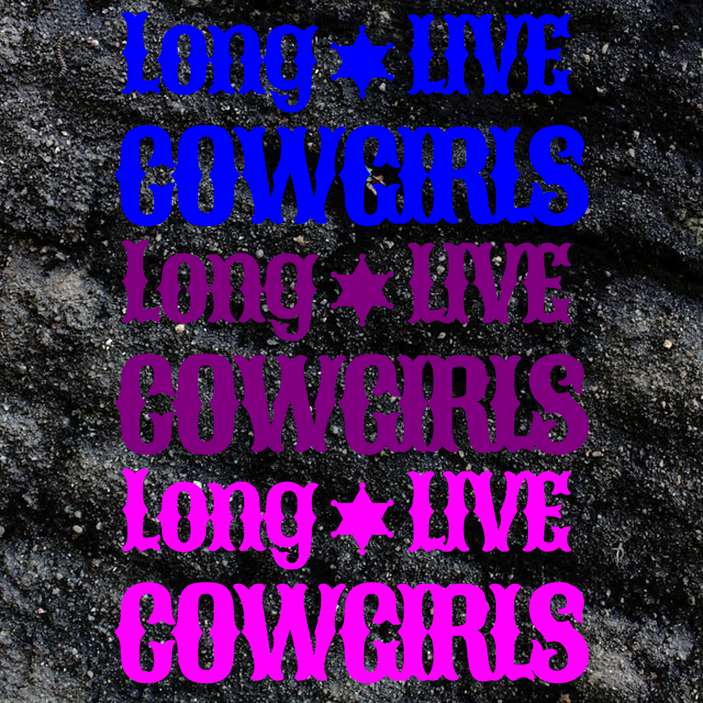 Picture3.png