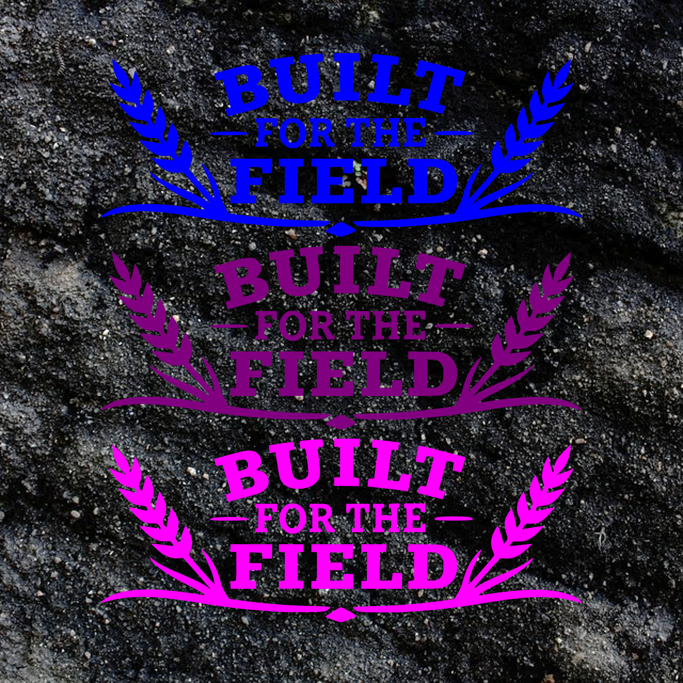 P3.png