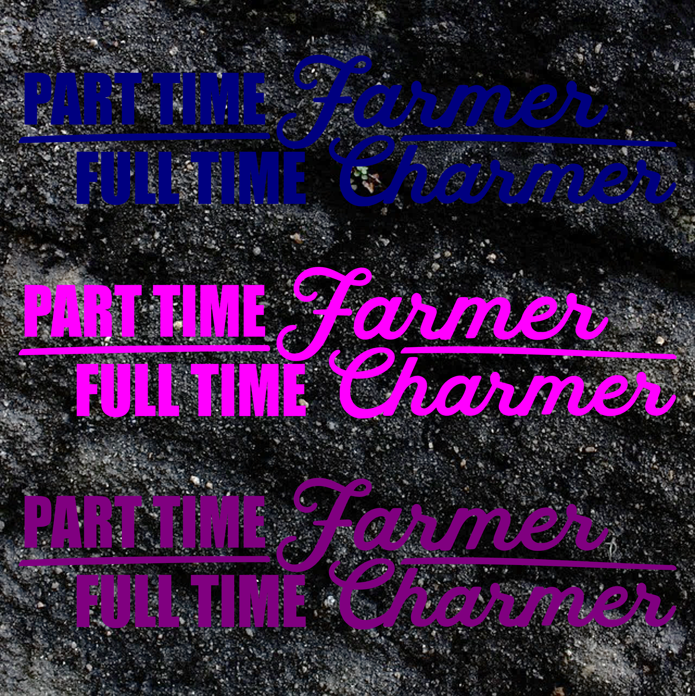 P3.png