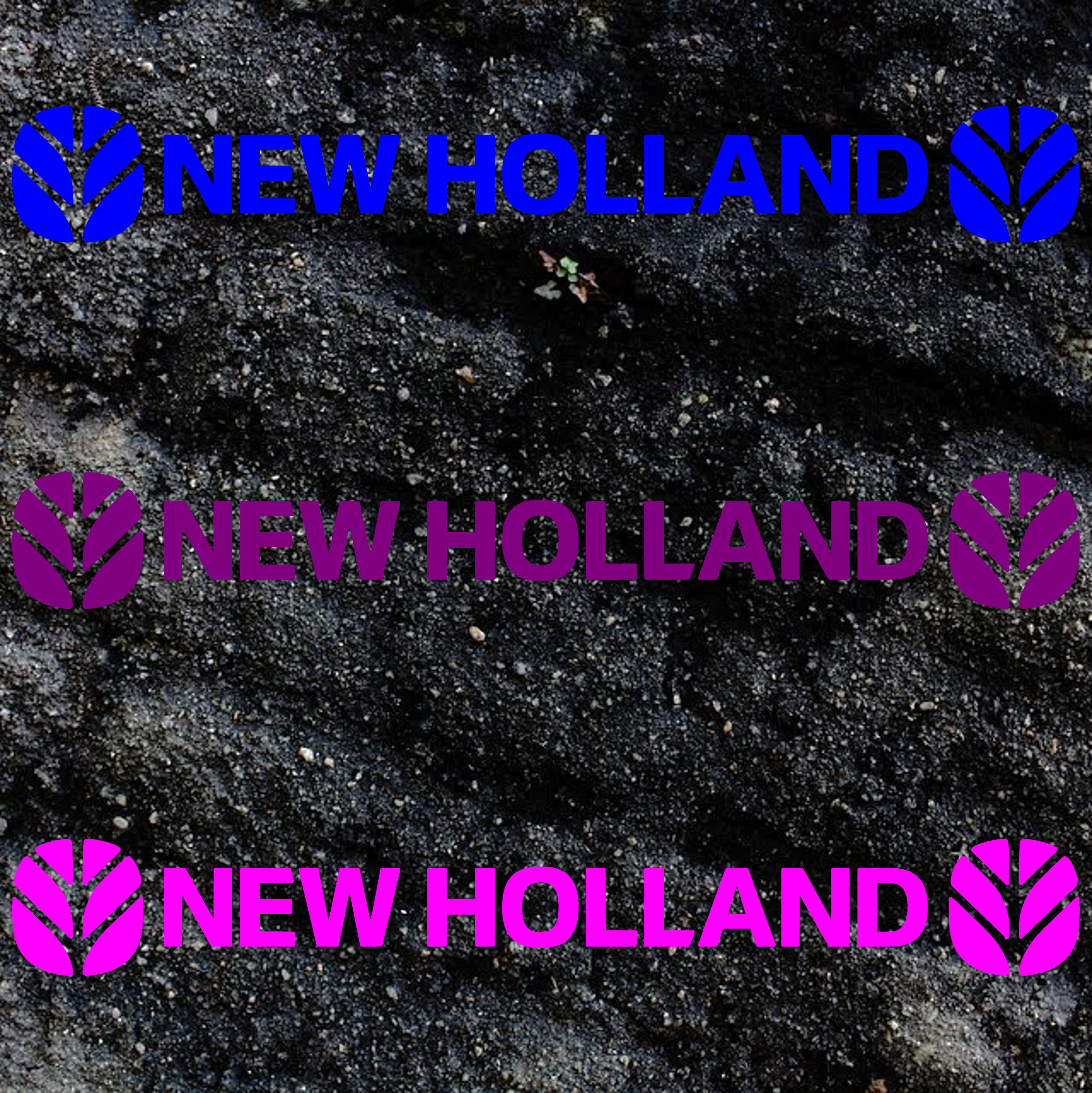 NHSS3.png
