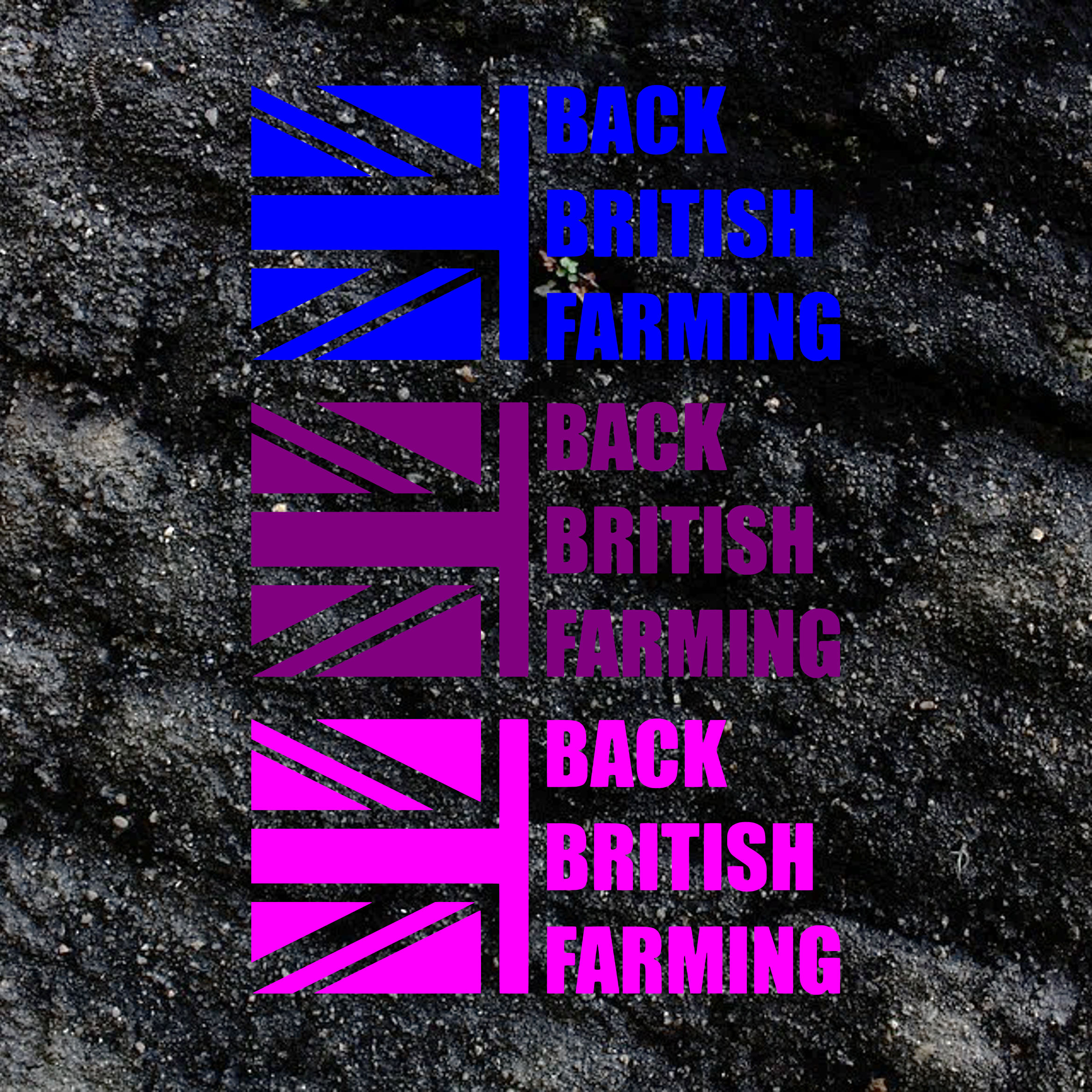 P3.png