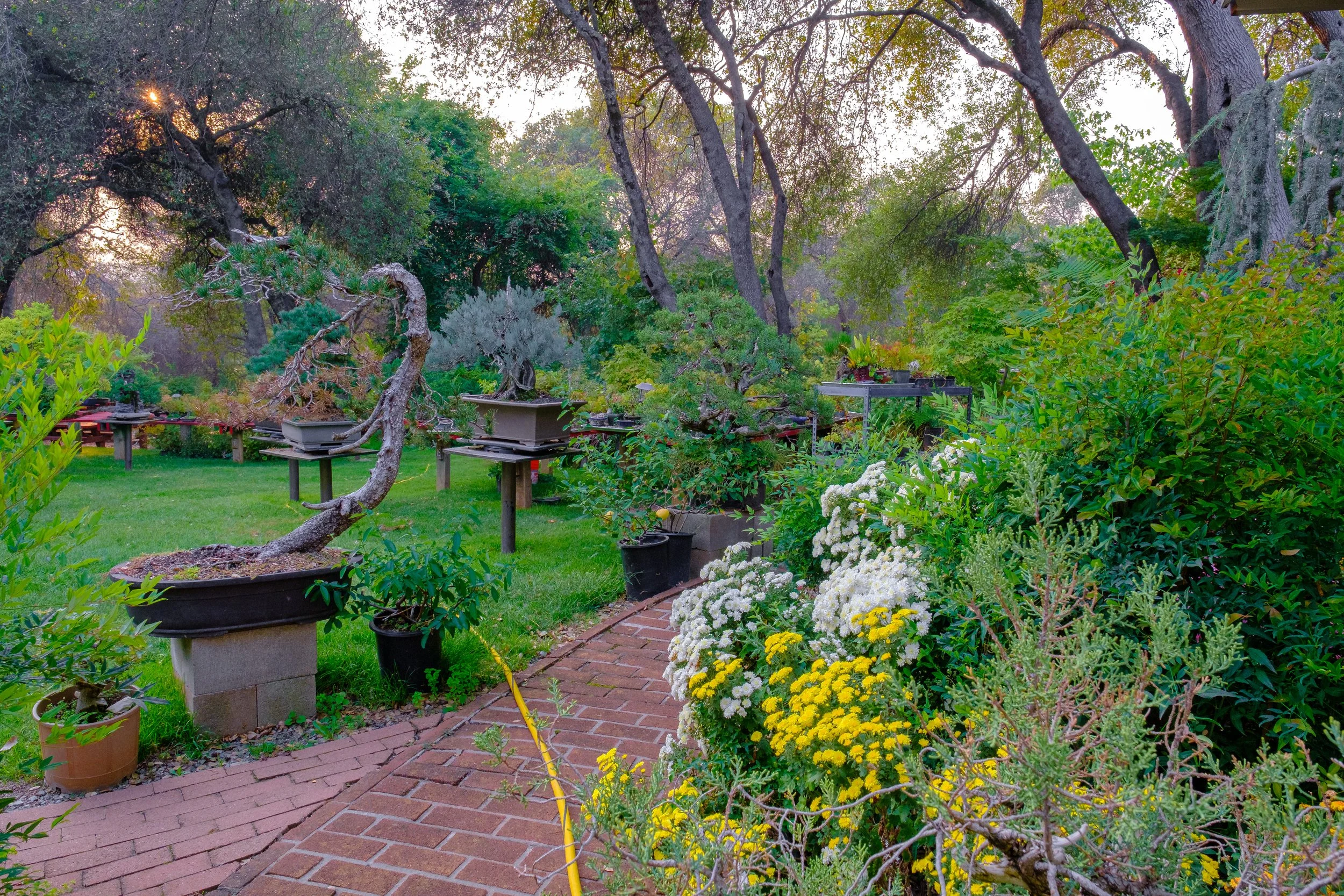 RHM_Images-7480.jpg