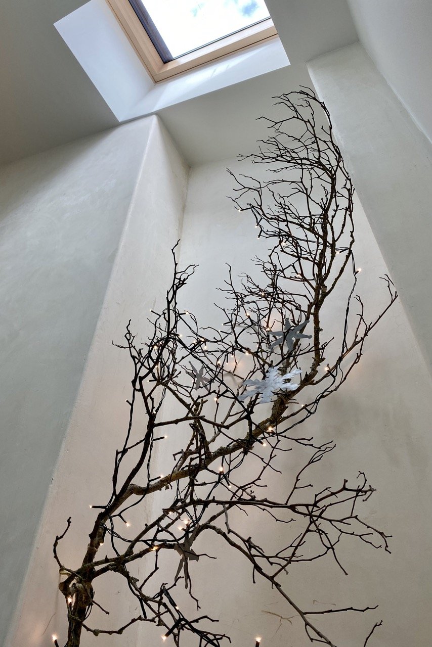 decorative-branch-plymouyth-passive-house Large.jpeg