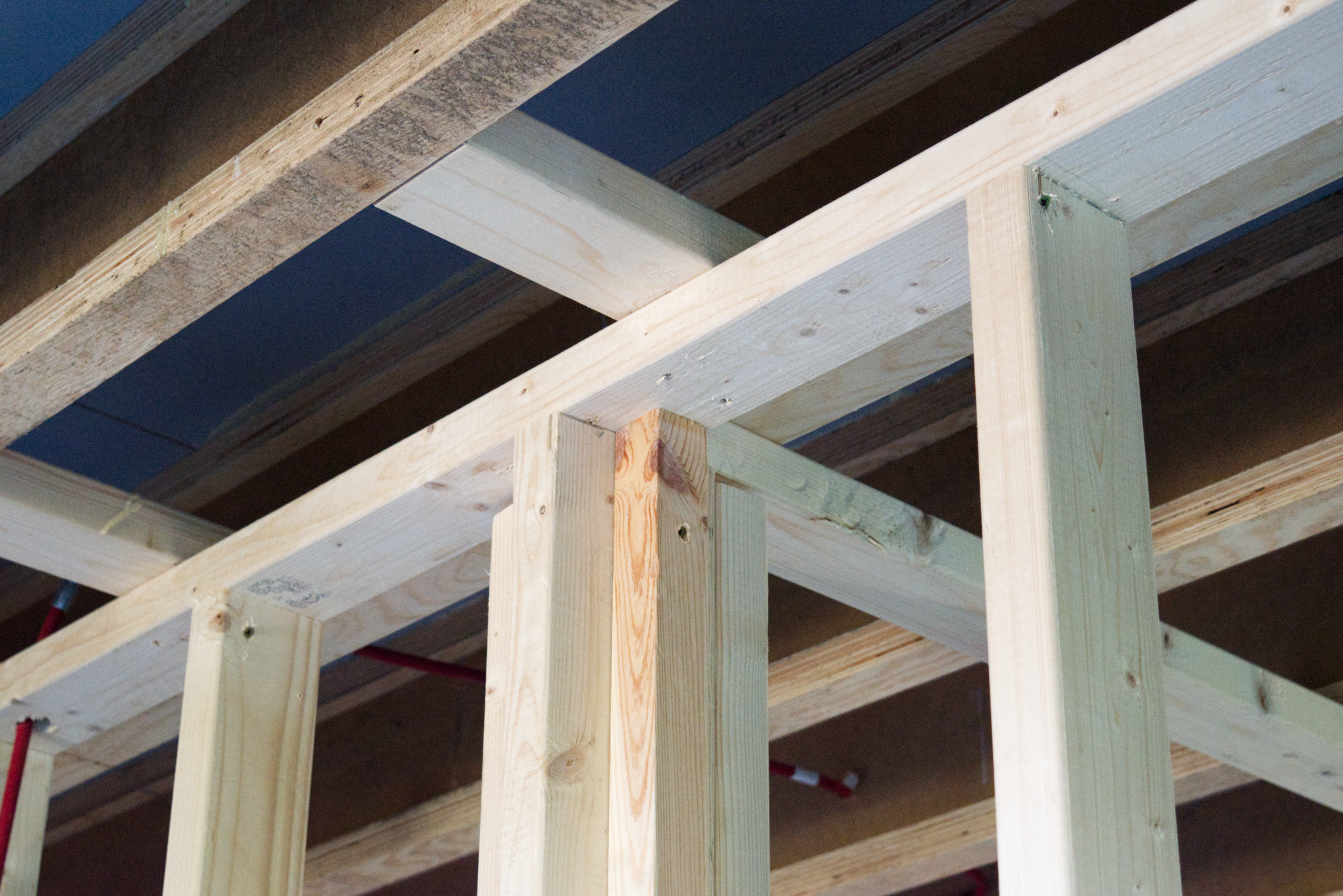 green-house-timber-framing.png