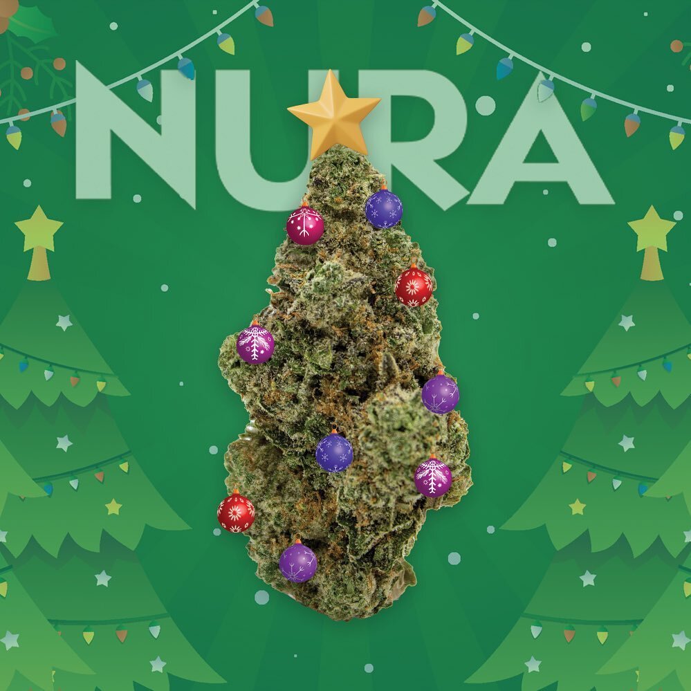 Merry Christmas, happy holidays, &amp; a happy new year from the team at #NuraCannabis 🎄🎁 light up your Christmas tree and enjoy yourself today!

NOTHING FOR SALE. EDUCATIONAL PURPOSES ONLY.