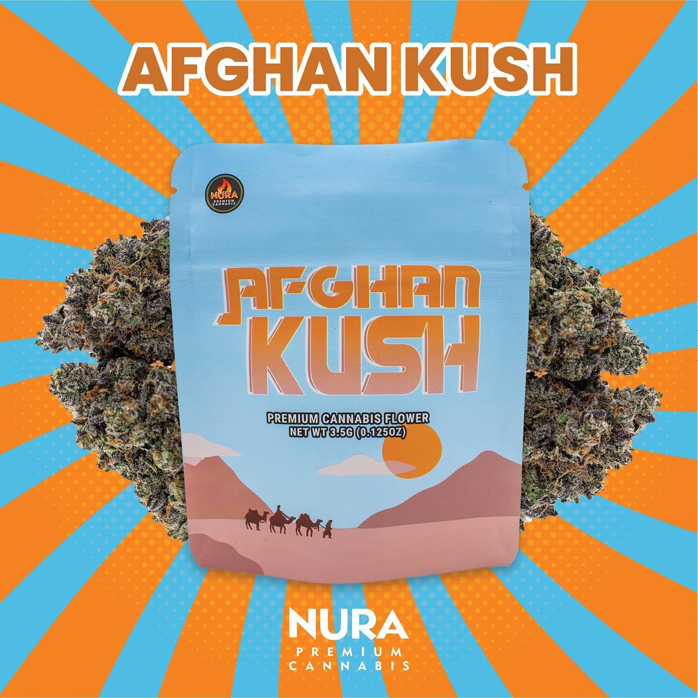 Sticking to the classics with the latest addition to our lineup&hellip;

🔥Afghan Kush🔥

NOTHING FOR SALE. EDUCATIONAL PURPOSES ONLY.