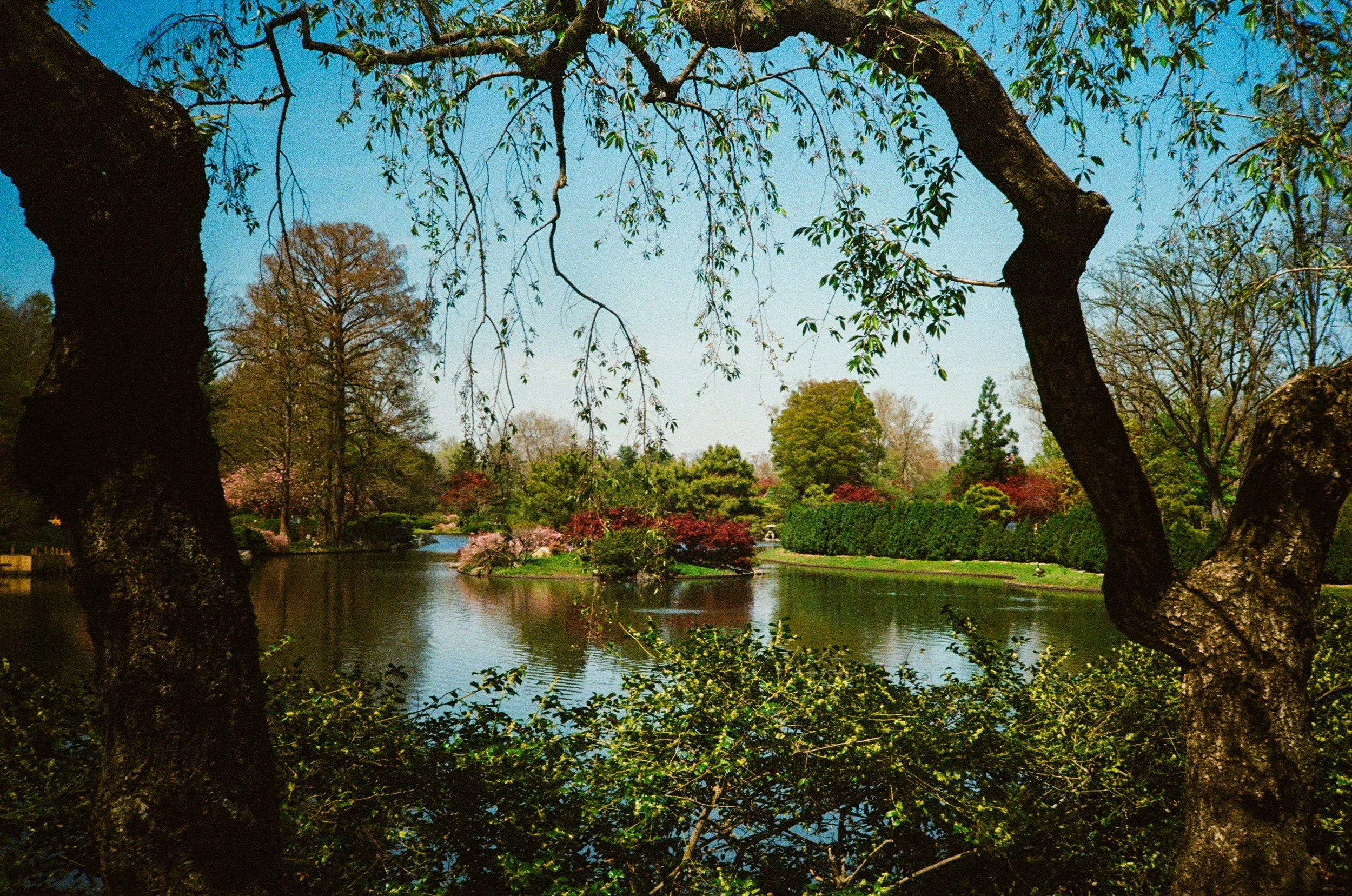 20070007.jpg