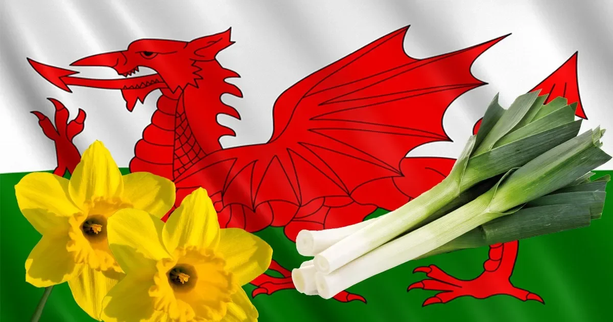 St David's Day Concert for Bournemouth Welsh Society