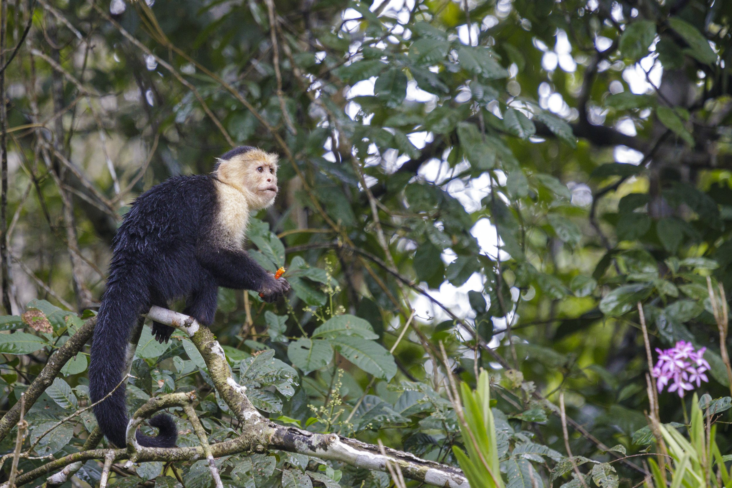 1136 - 20230108-Edit.jpg