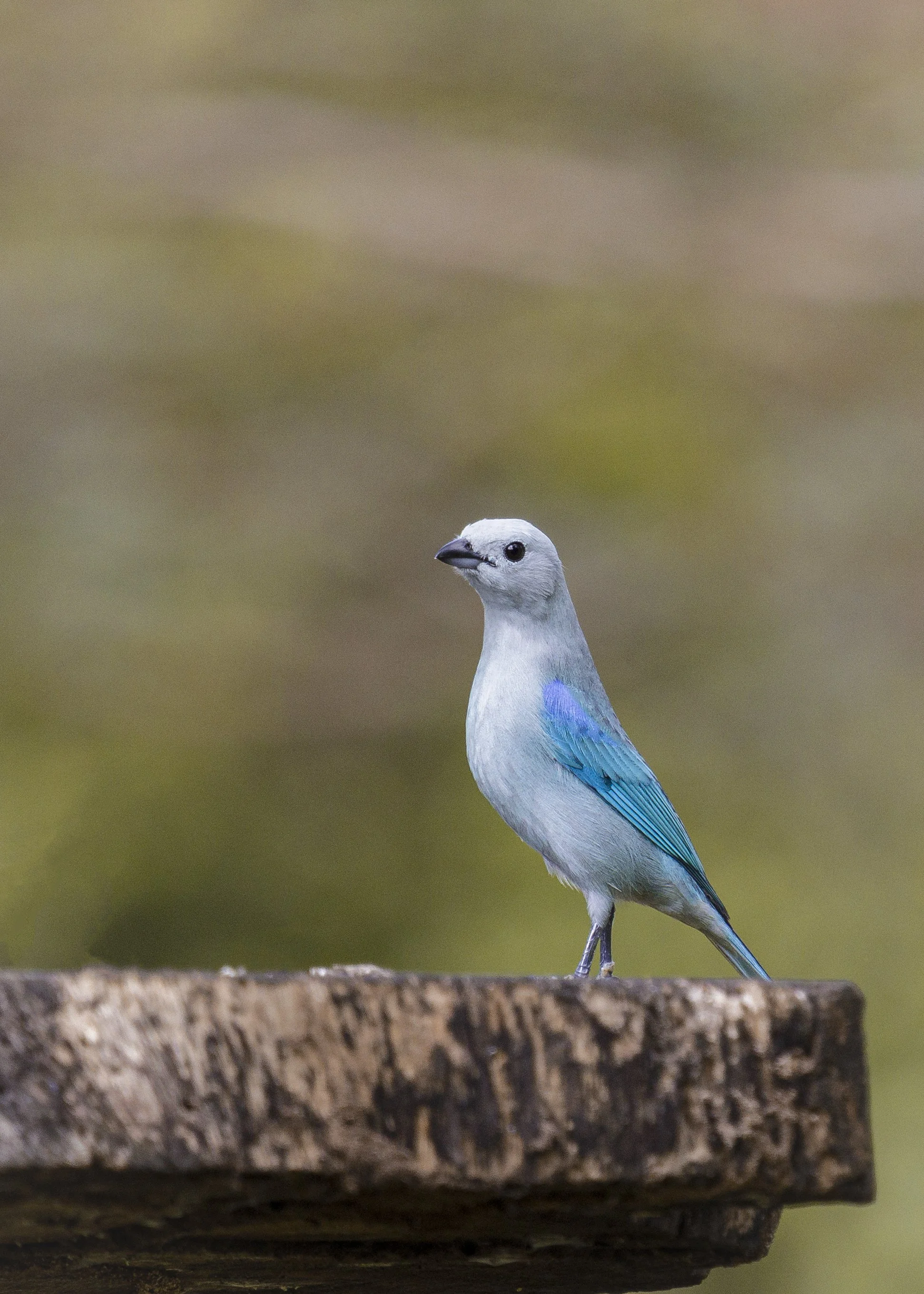 0167 - 20230108-Edit.jpg