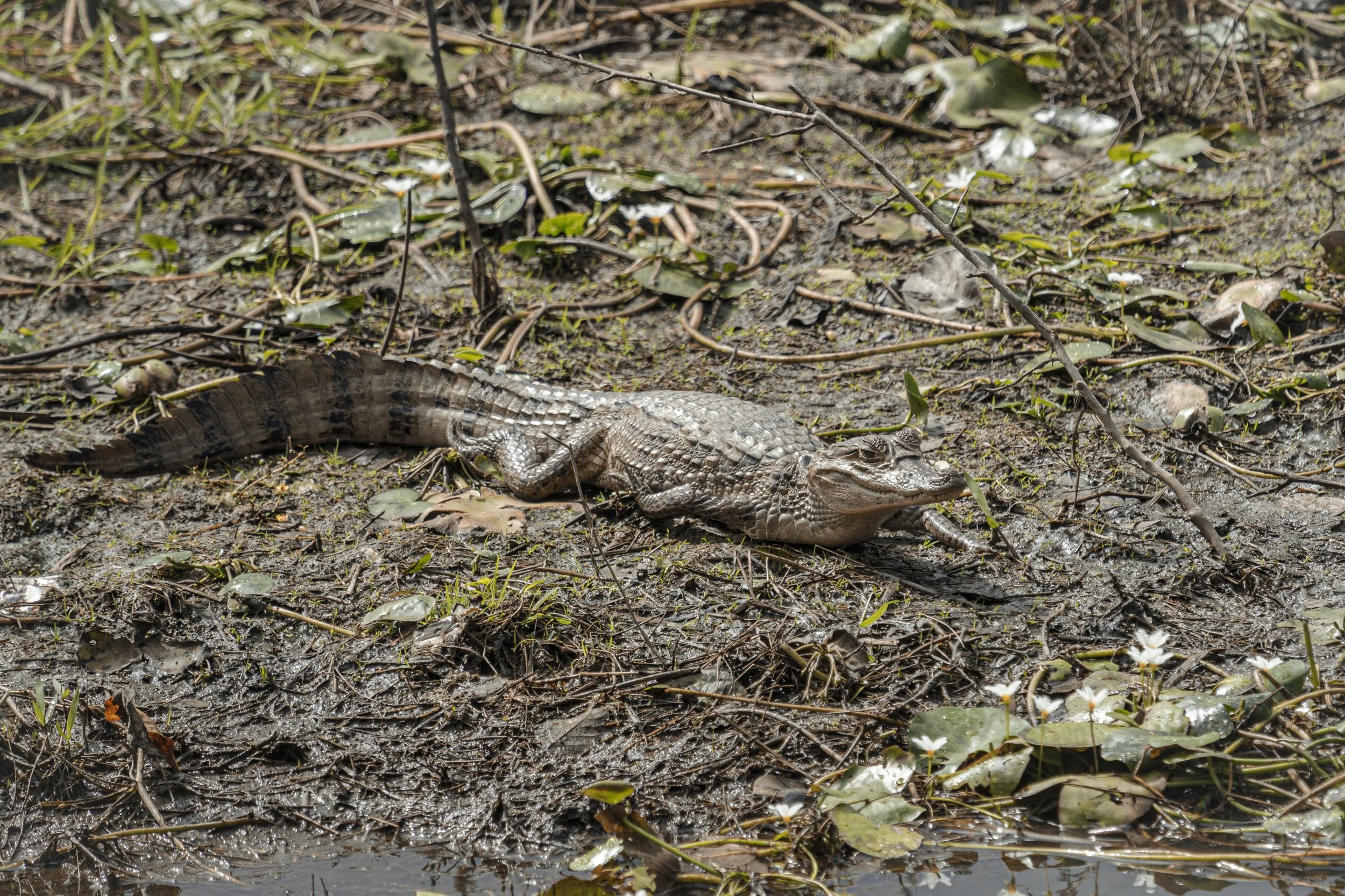 0041 - 20230108-Edit.jpg