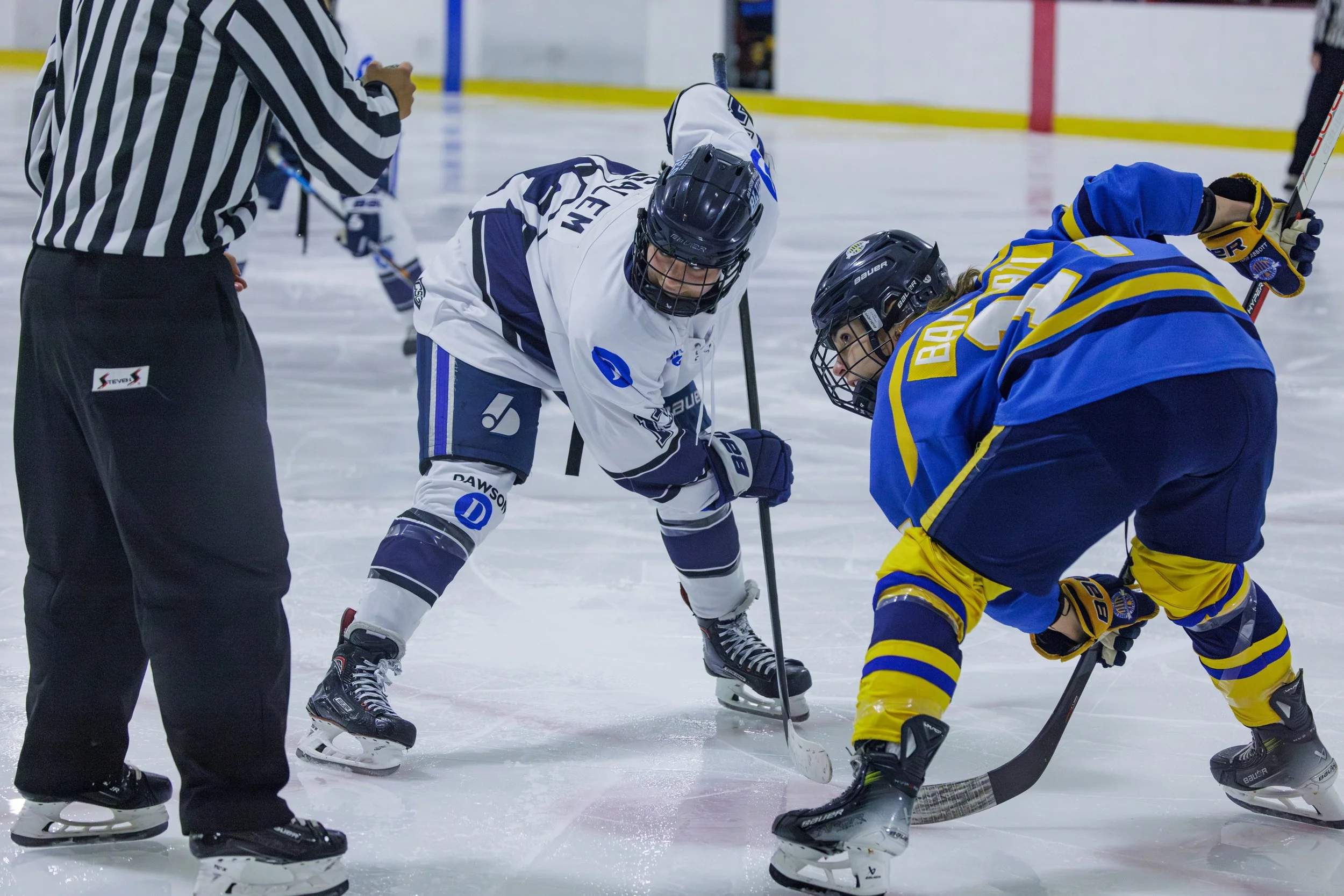 3657 - 20230922-Enhanced-NR.jpg