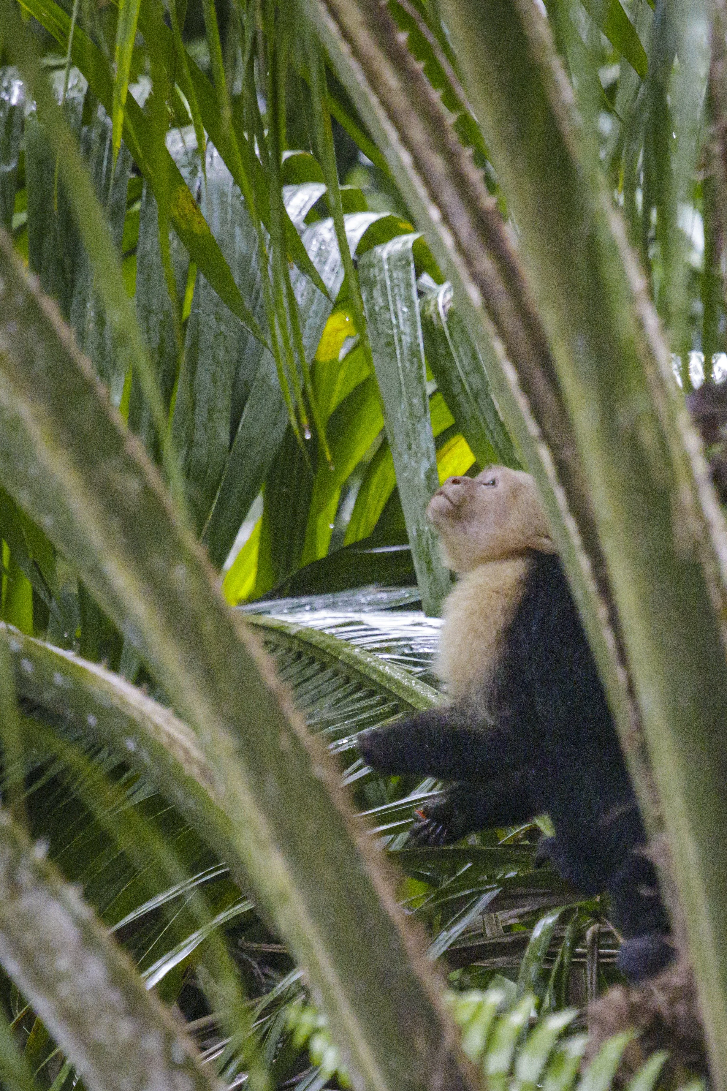 0945 - 20230108-Edit.jpg