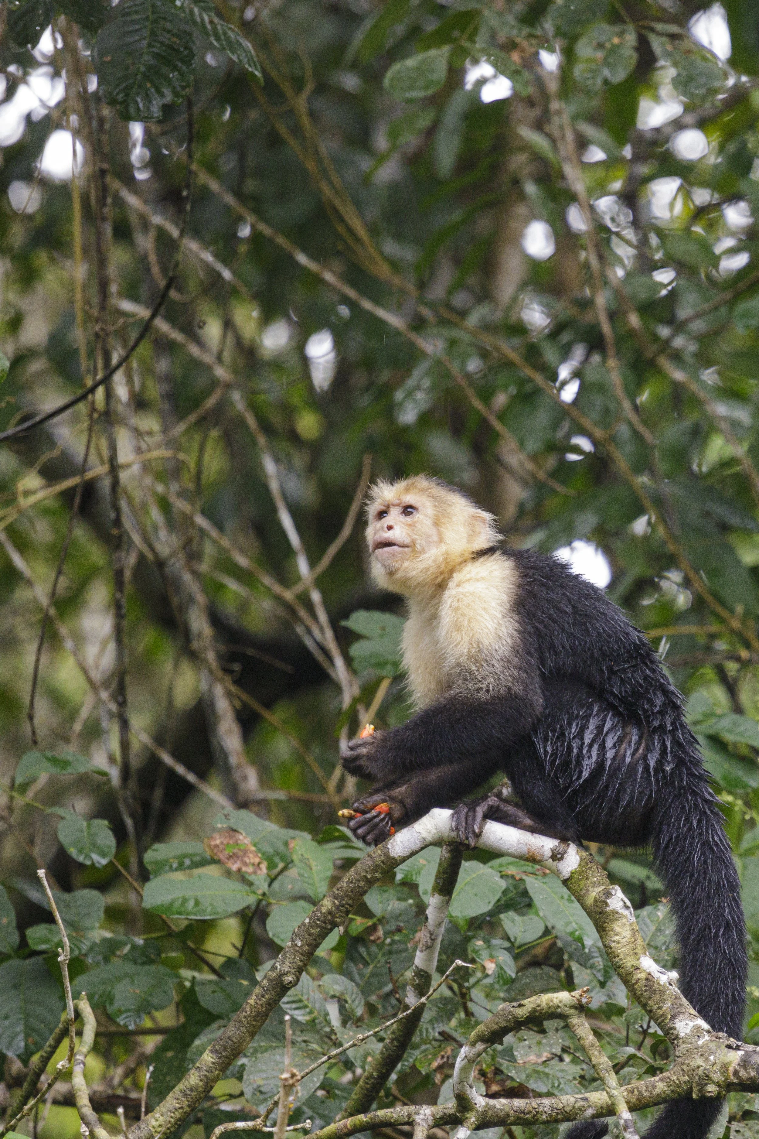 1117 - 20230108-Edit.jpg