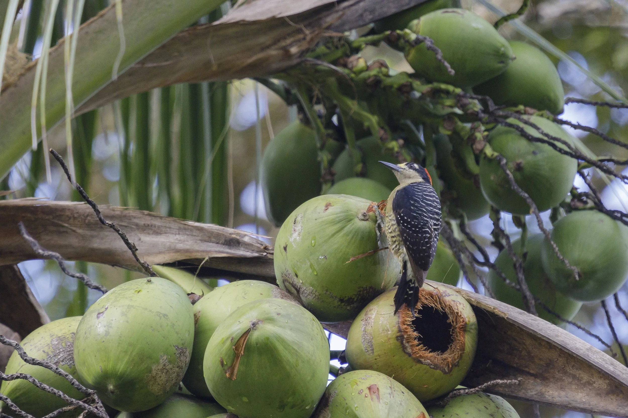 0086 - 20230108-Edit.jpg