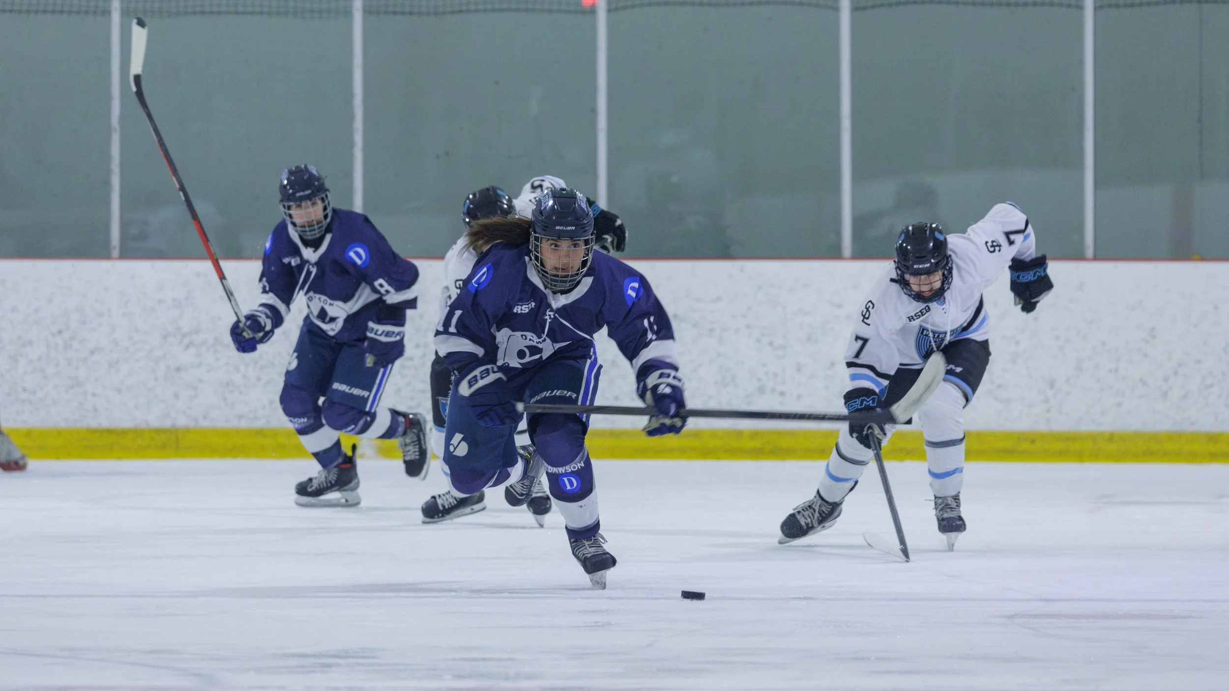 7271 - 20240202-Enhanced-NR.jpg