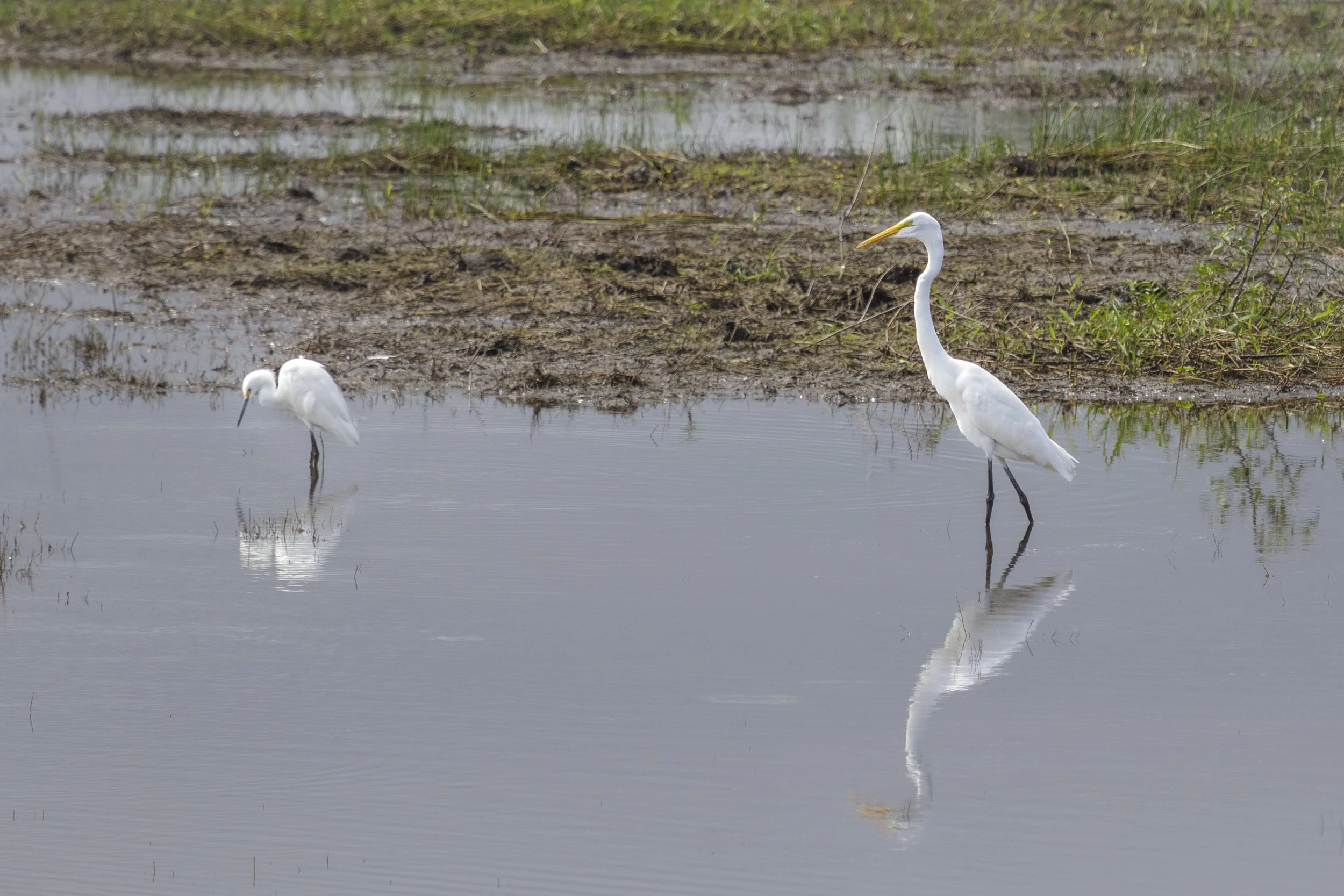 0024 - 20230108-Edit.jpg