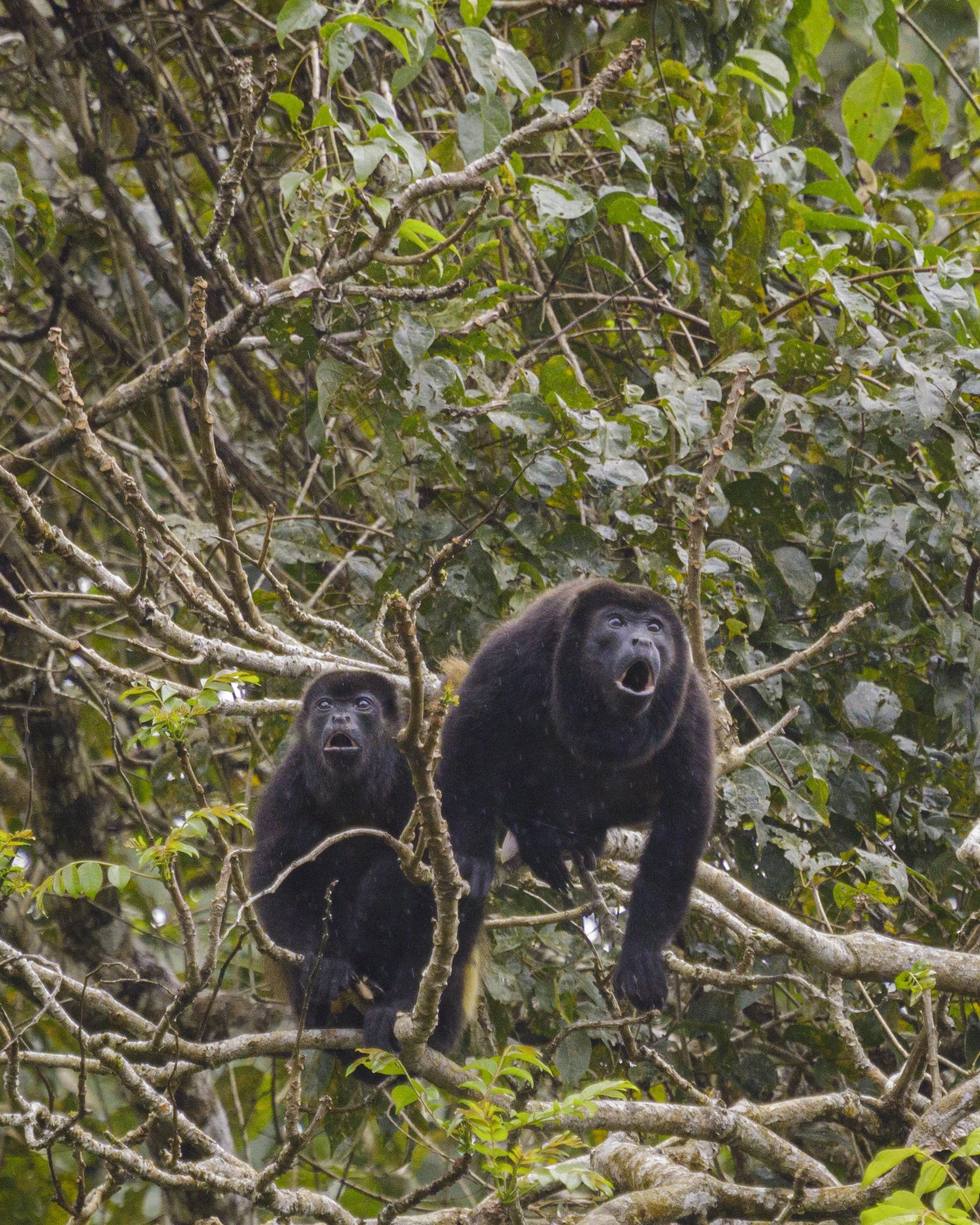 1250 - 20230108-Edit.jpg