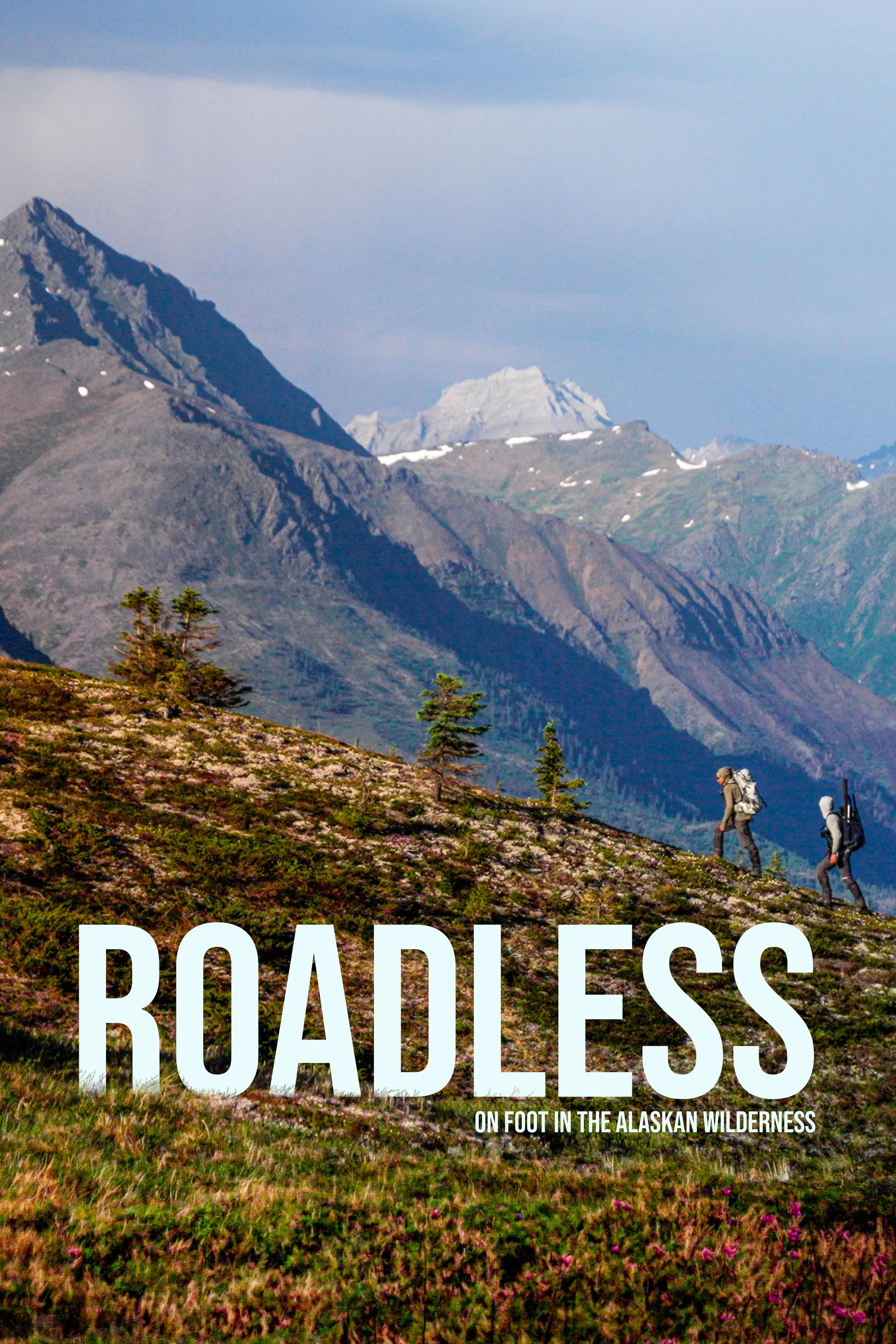 RoadLessPoster5.jpg