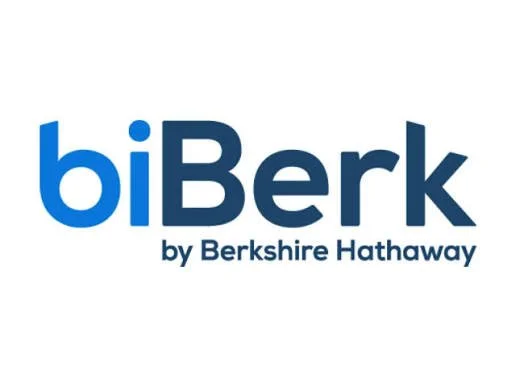 BIBERK INSURANCE - LOGO 1.jpeg
