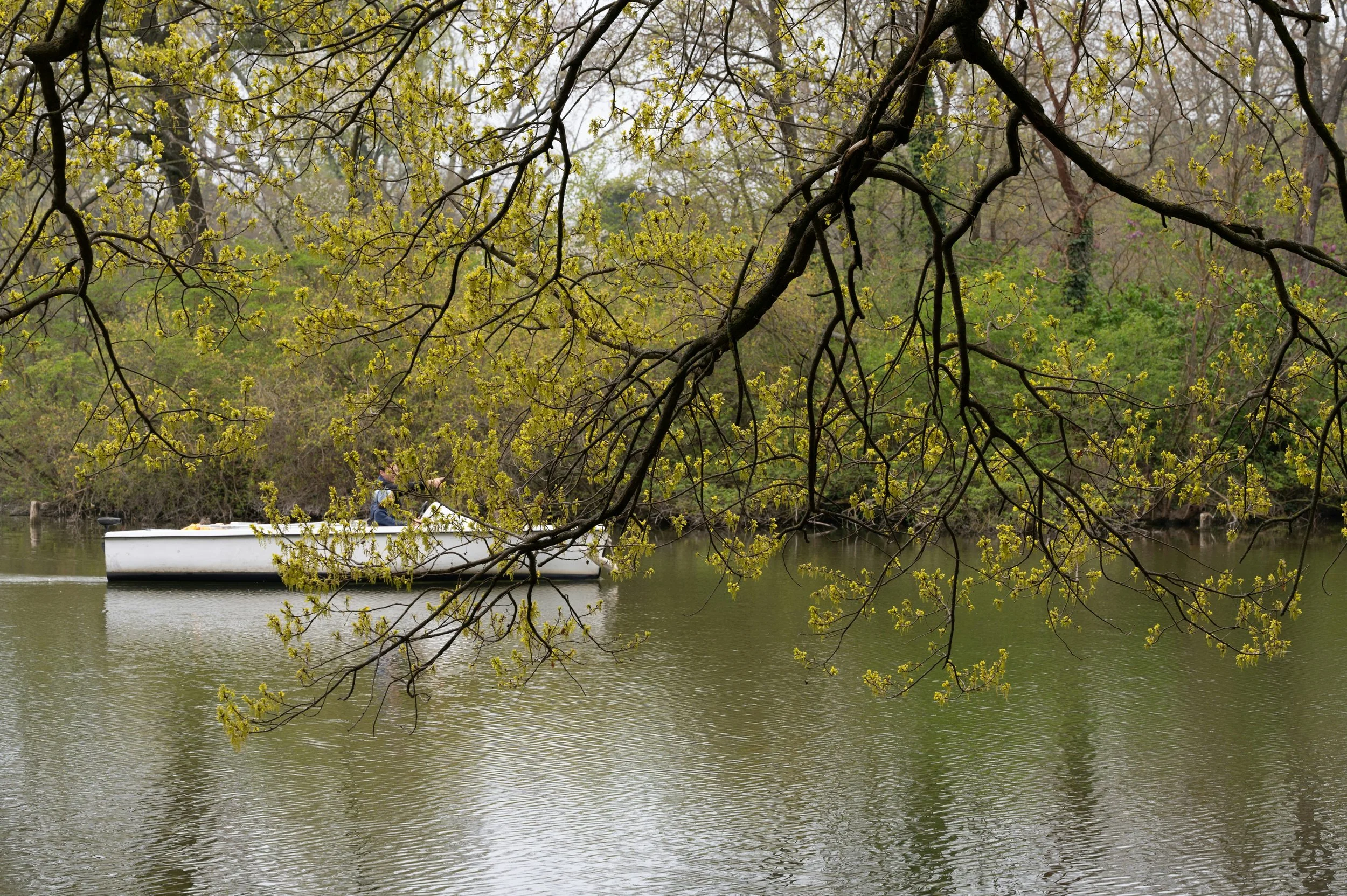 Old Truths &amp; New Ideas